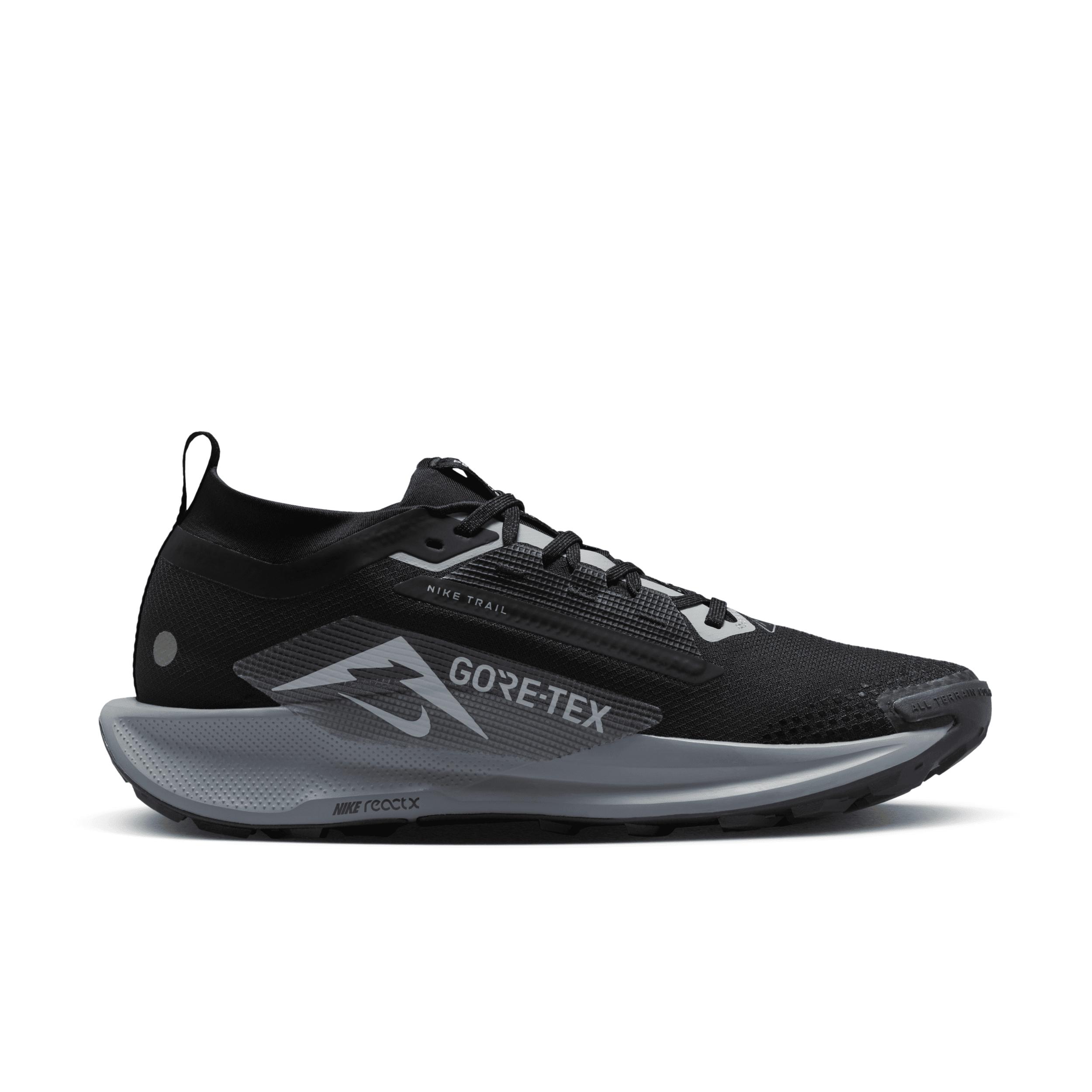 Nike Mens Pegasus Trail 5 GORE-TEX Waterproof Trail Running Shoes | FQ0908-001 Product Image