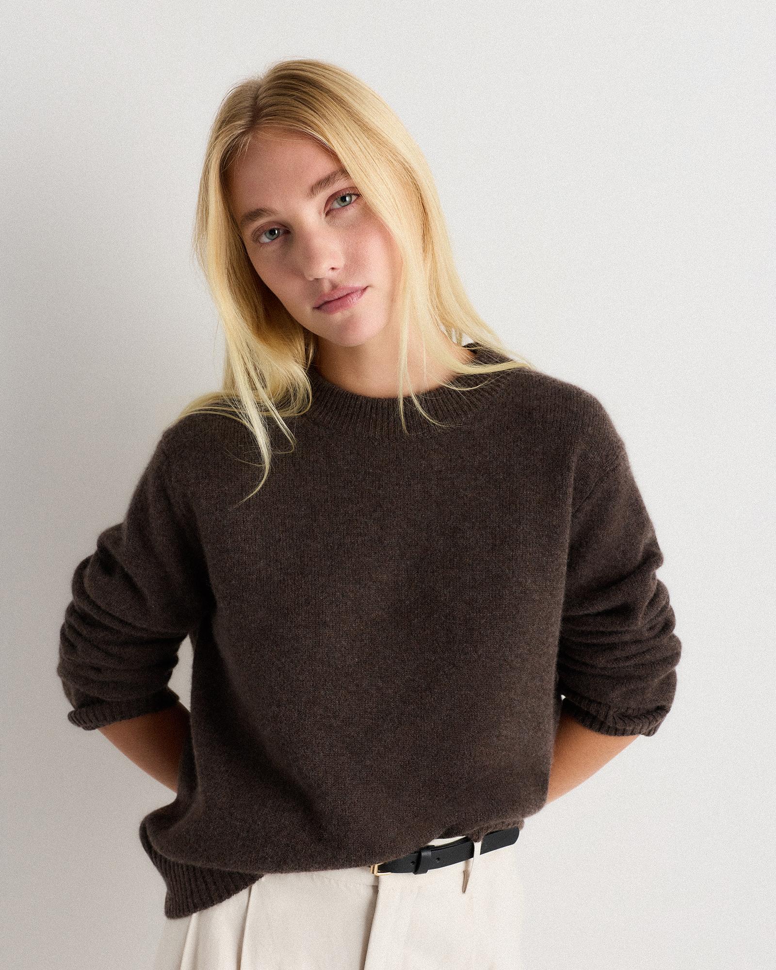 Quince | Women's Mongolian Cashmere Oversized Crewneck Sweater Product Image