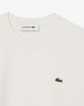 Relaxed Fit Cotton Crew Neck Sweater Product Image