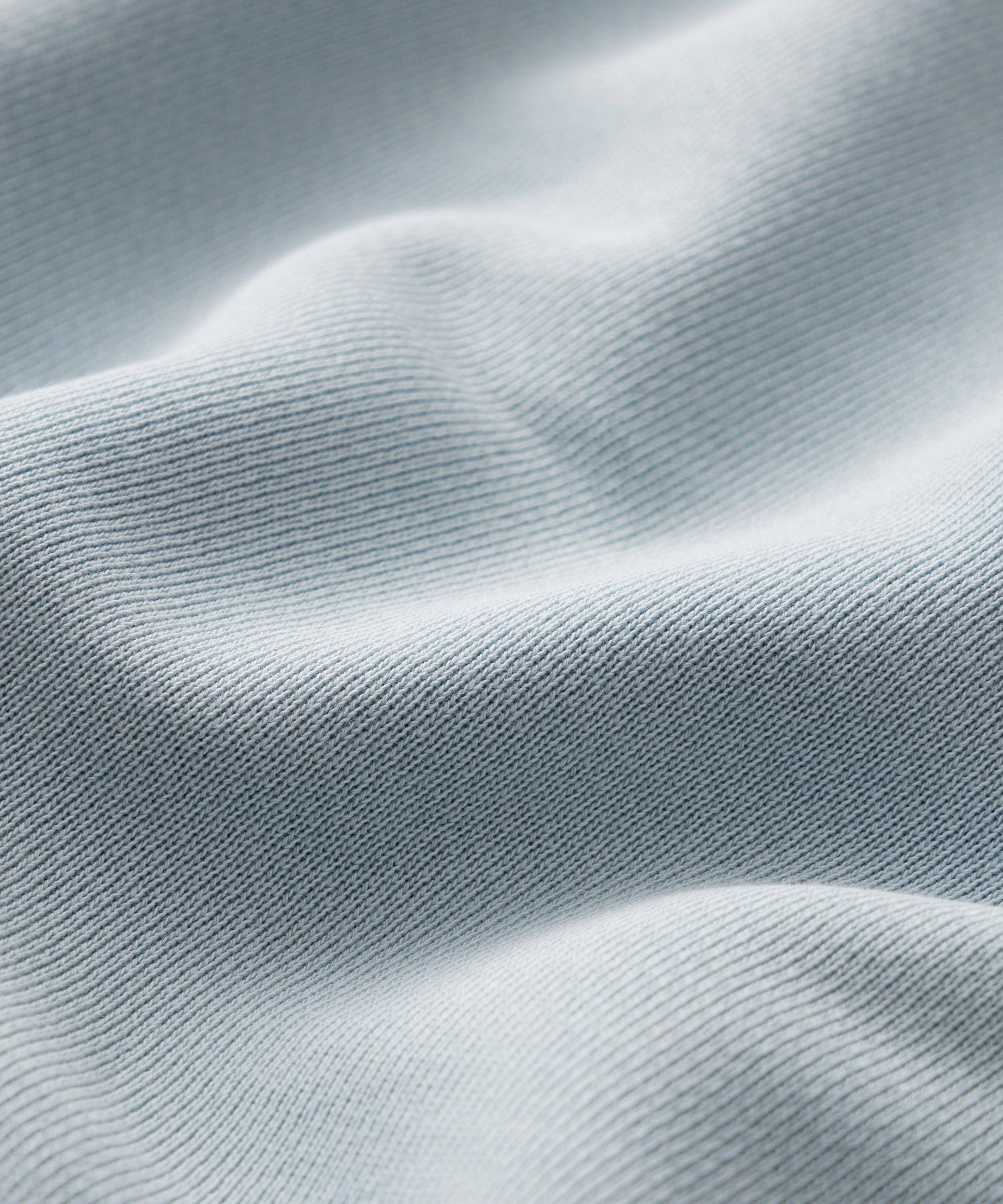 Champion French Terry Hoodie Product Image