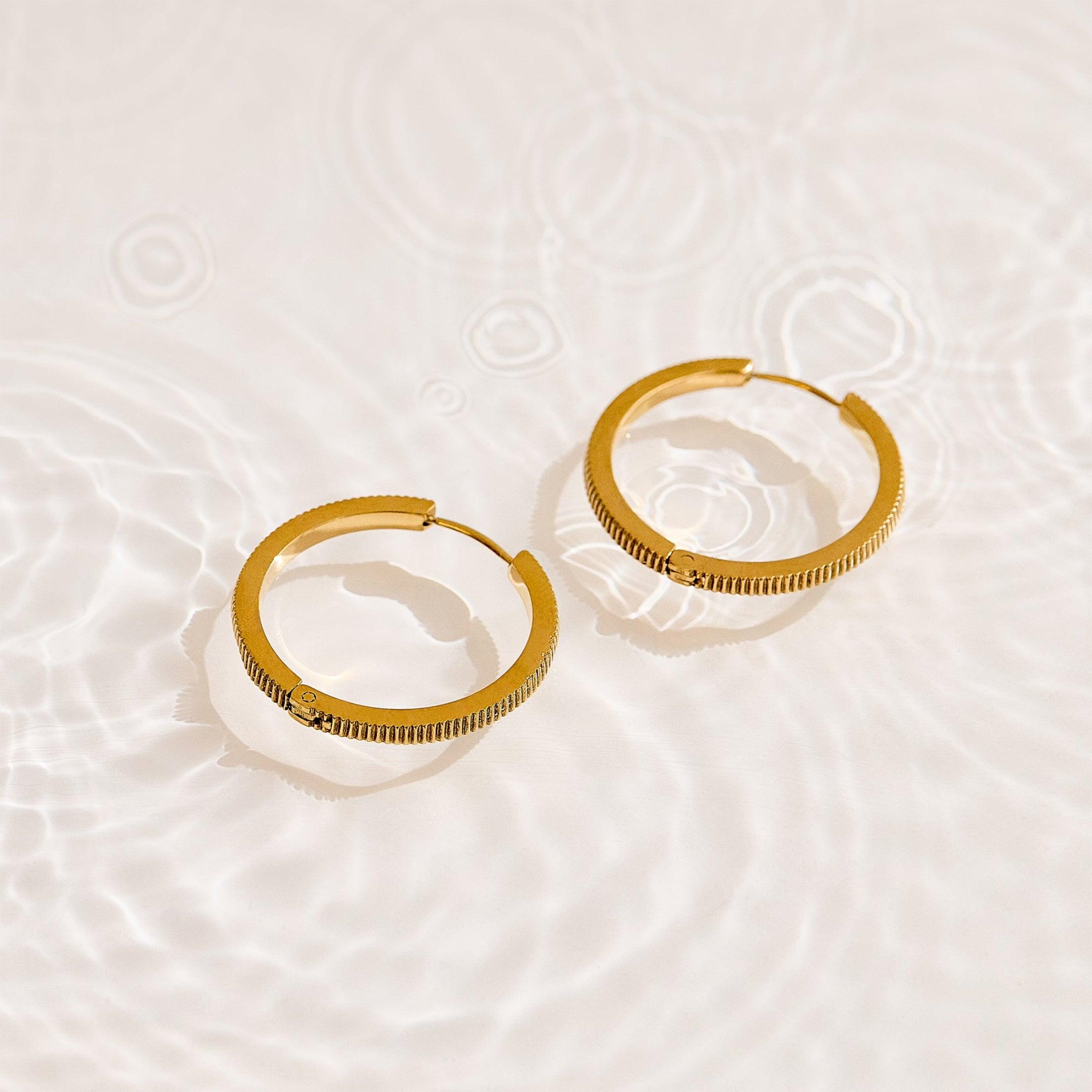 Haze Hoop Earrings Product Image
