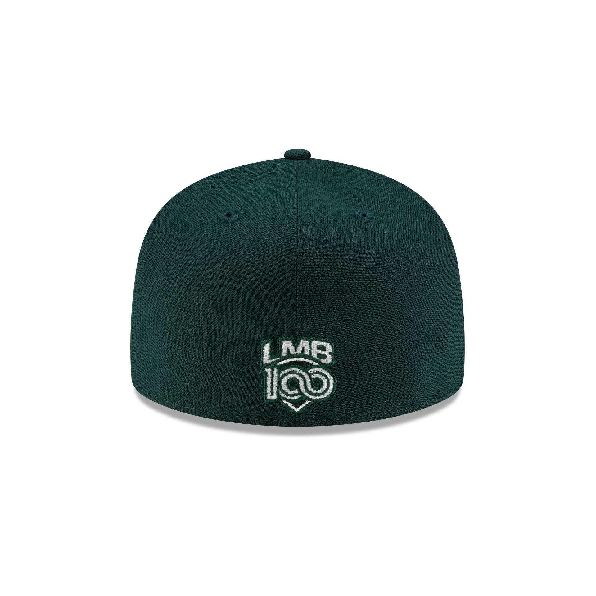 Washington Bullets 1987-1997 Hardwood Classics 9FIFTY Snapback Hat Male Product Image