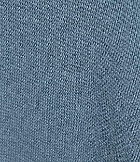 Eileen Fisher Plus Size Organic Cotton Blend Brushed Terry High Funnel Neck Long Sleeve Box Top Product Image