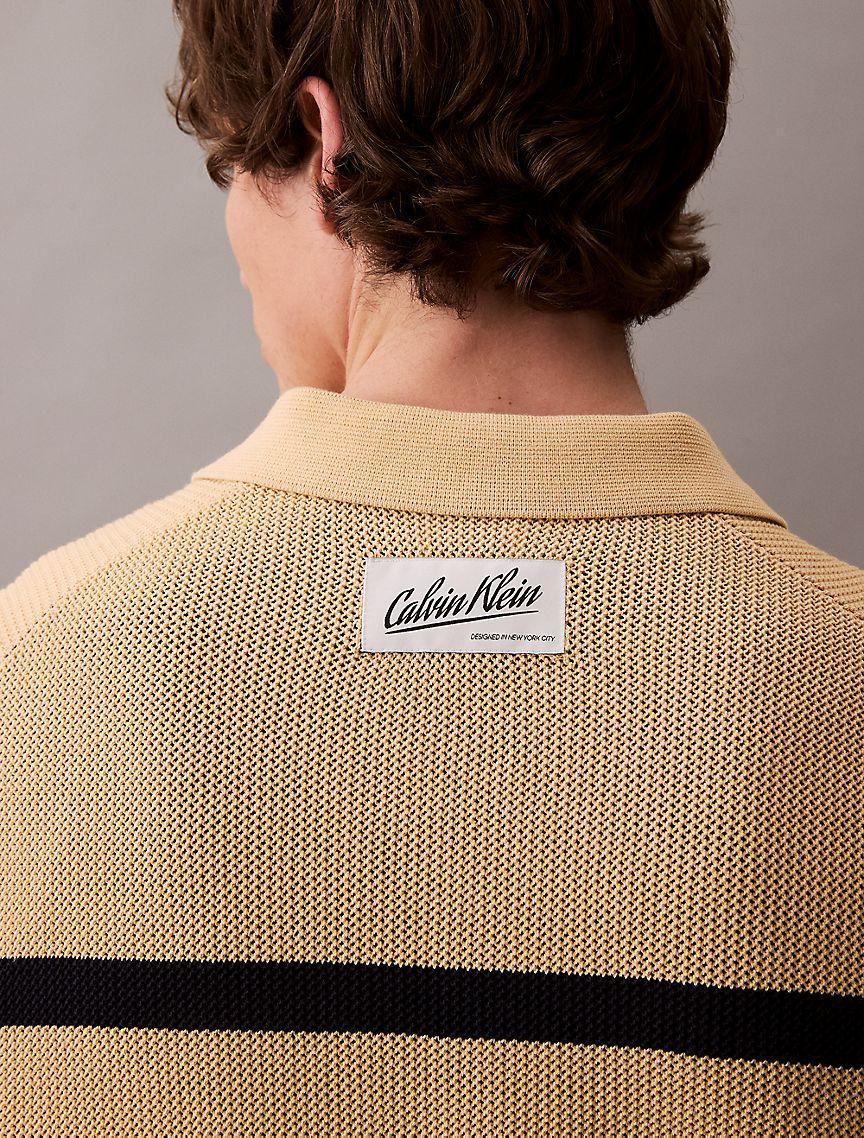 Striped Polo Sweater Product Image