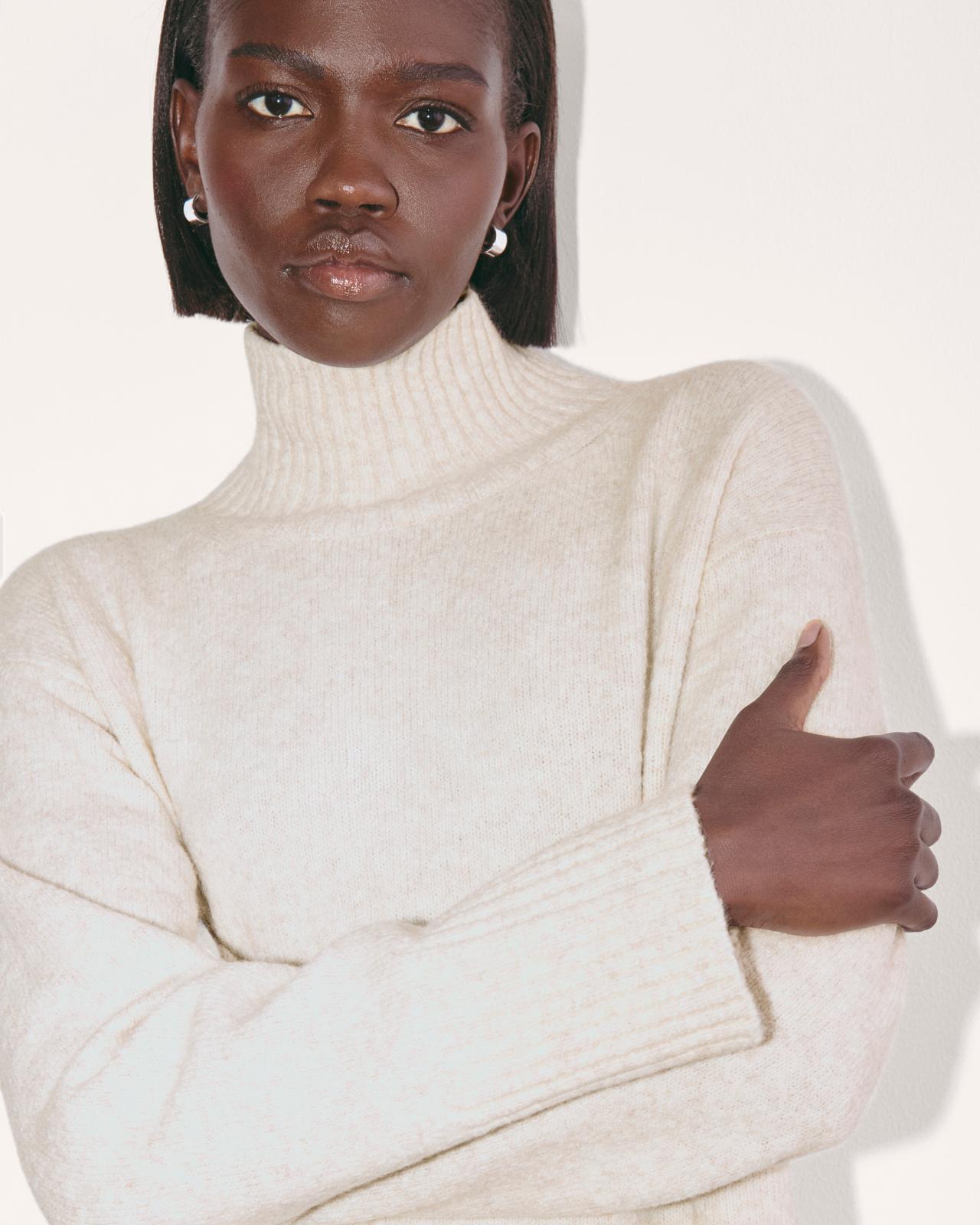 Womens Sweater Dress in Plush Cotton by Everlane Product Image
