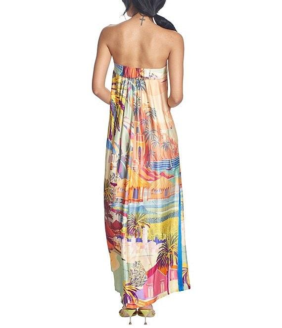 COREY LYNN CALTER Thalis Printed Strapless Sleeveless Maxi Dress Product Image