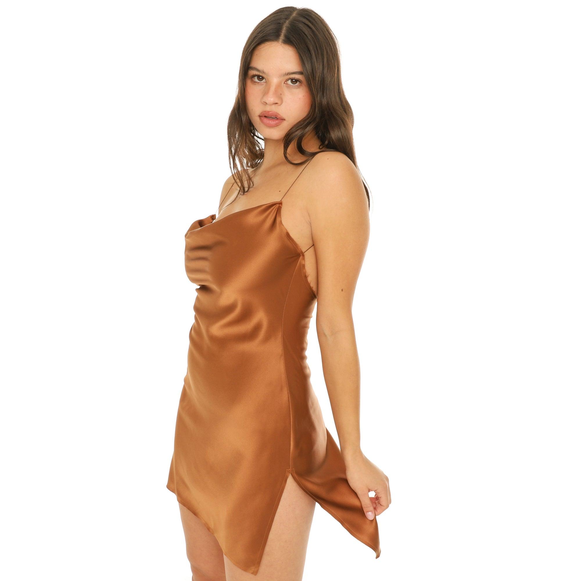 Nique Mini Dress Product Image