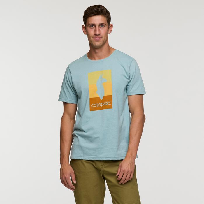 Llama Block T-Shirt - Men's Product Image