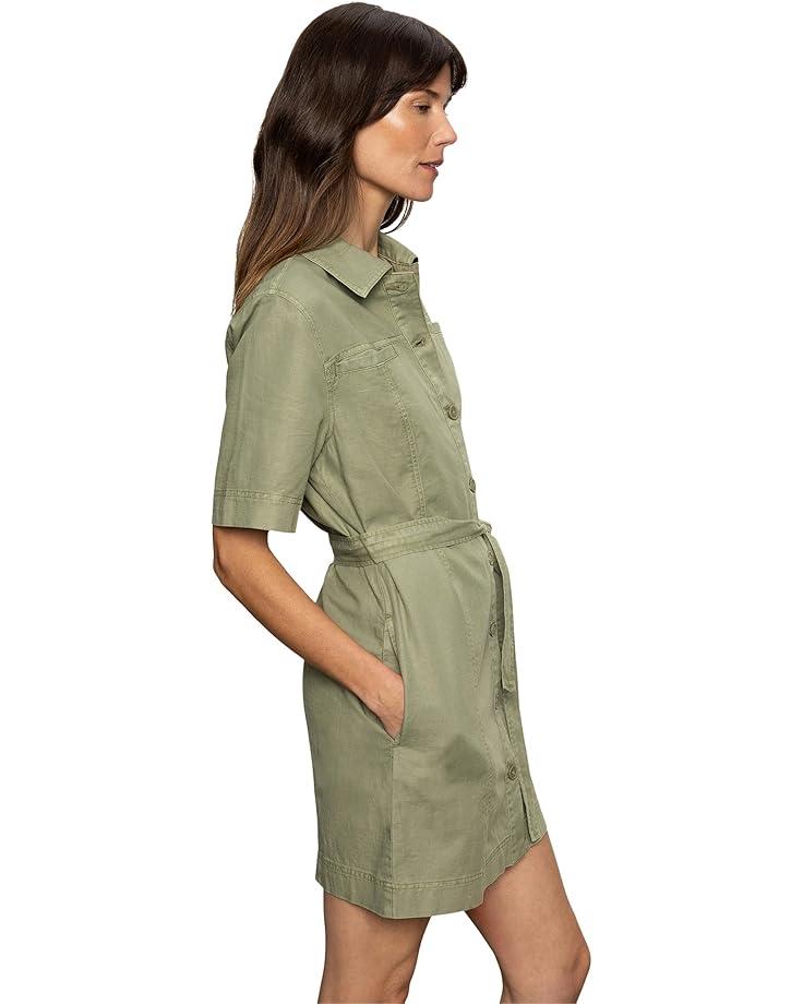 Summer Shell Dress Product Image