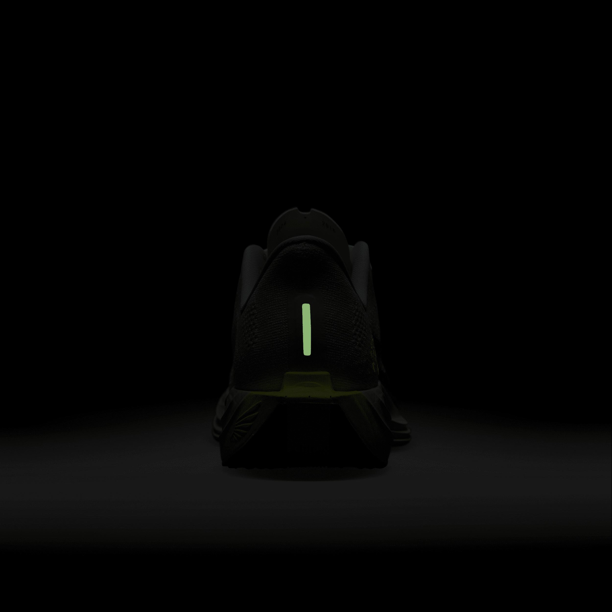 Nike Pegasus Plus Men's Road Running Shoes Product Image