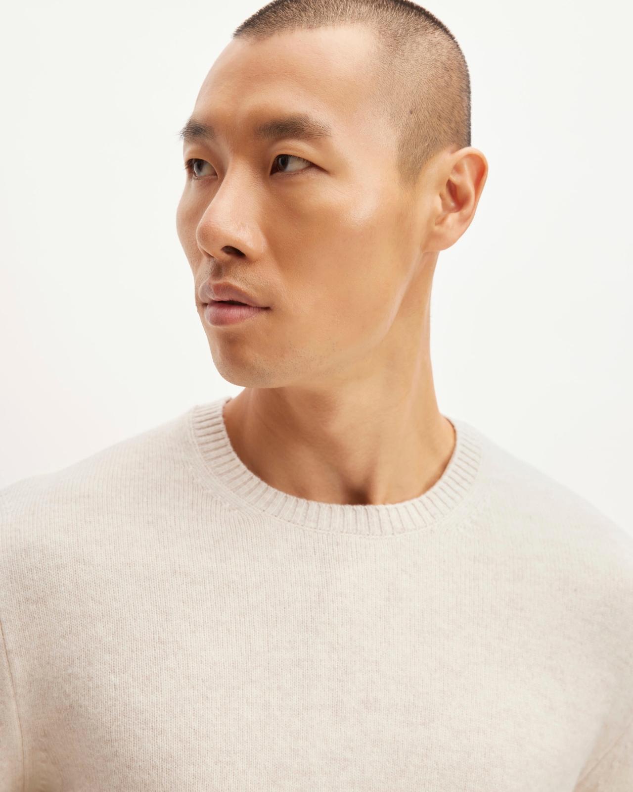 Mens Premium Merino Crew Neck Sweater by Everlane Product Image
