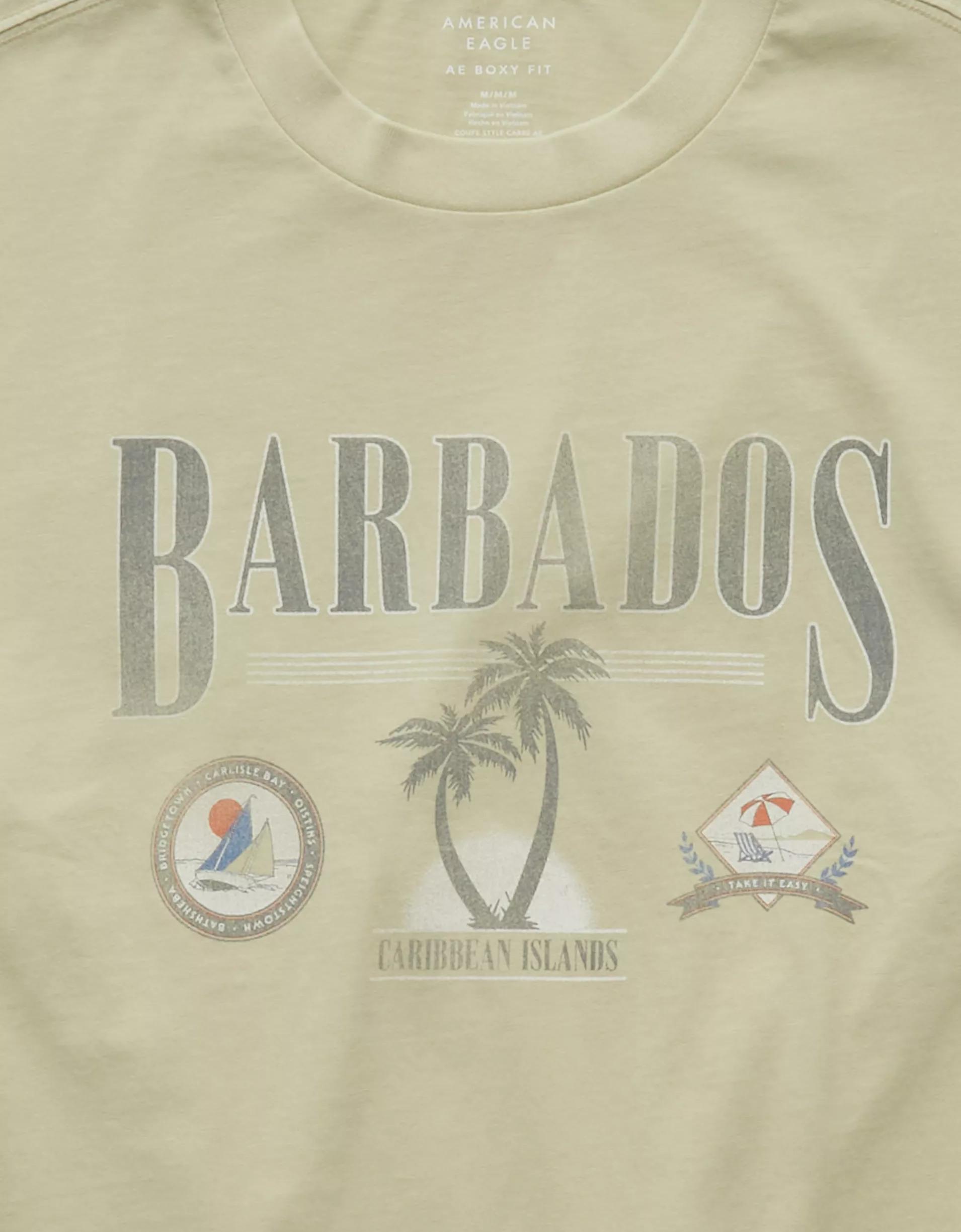 AE Boxy Destination Graphic T-Shirt Product Image