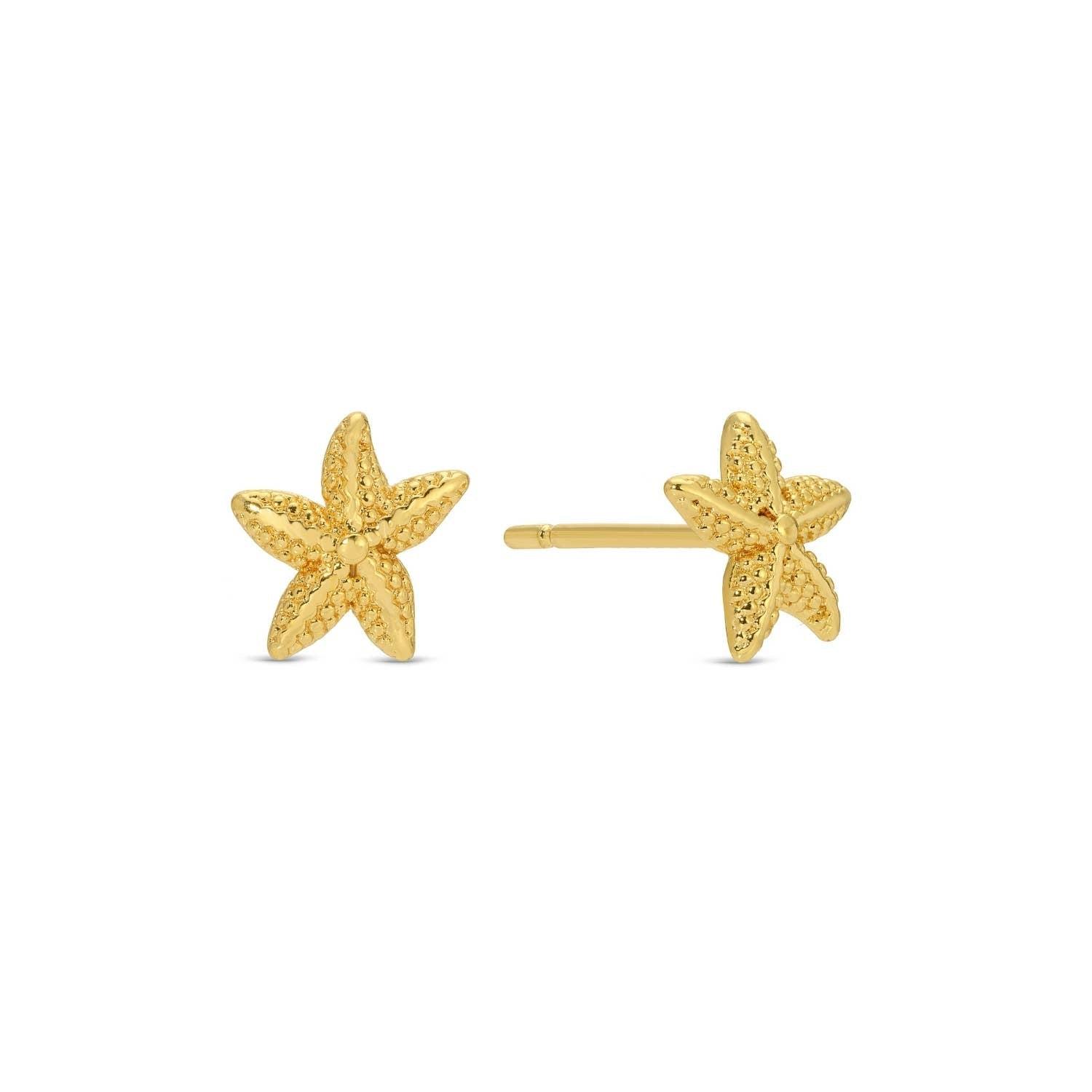 Starfish Studs On Velvet Gift Tag Product Image