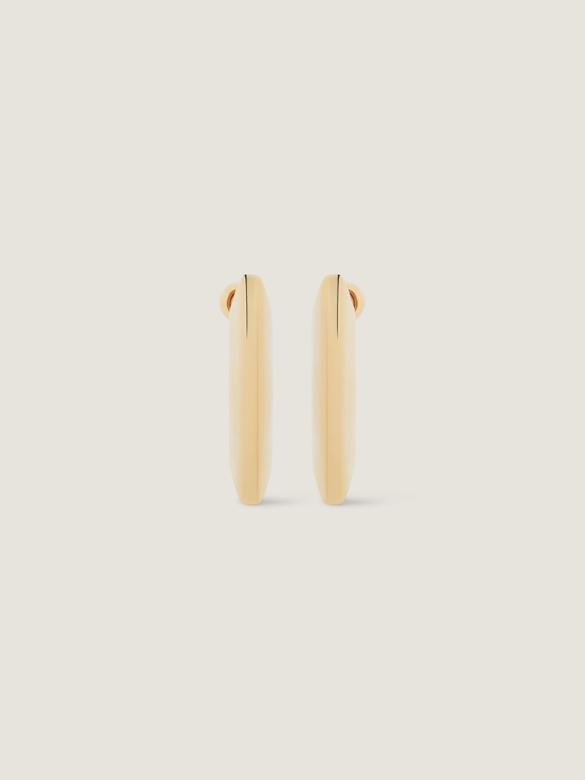 Chain earrings in metal Product Image