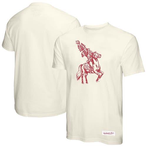 Men's Mitchell & Ness Cream Florida State Seminoles Vintage Tone T-Shirt,  Product Image