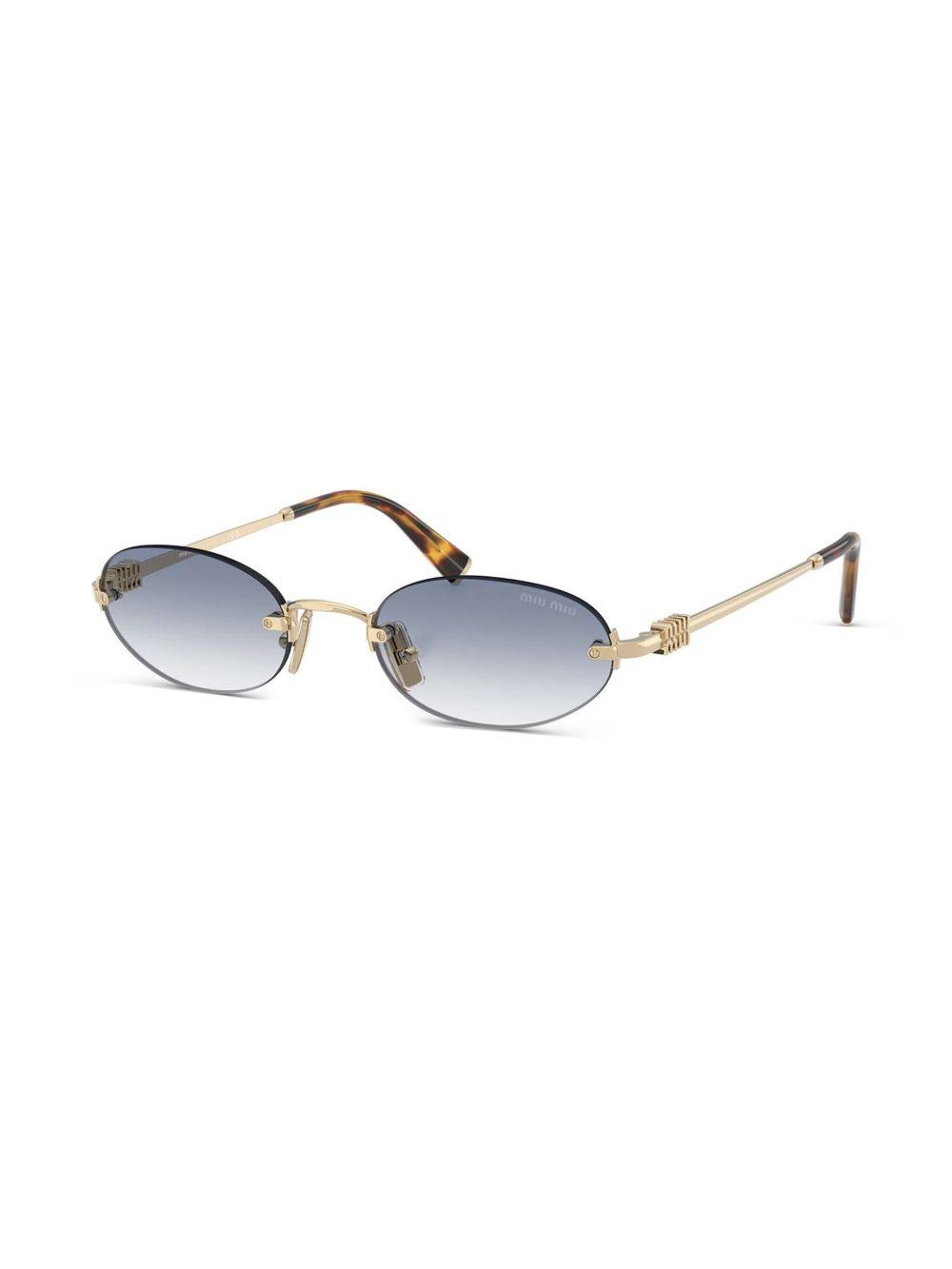 oval-frame sunglasses Product Image