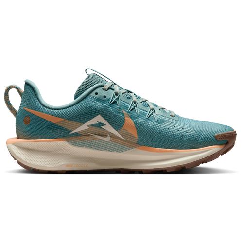 Nike Womens Pegasus Trail 5 Trail Running Shoes | DV3865-010 Product Image
