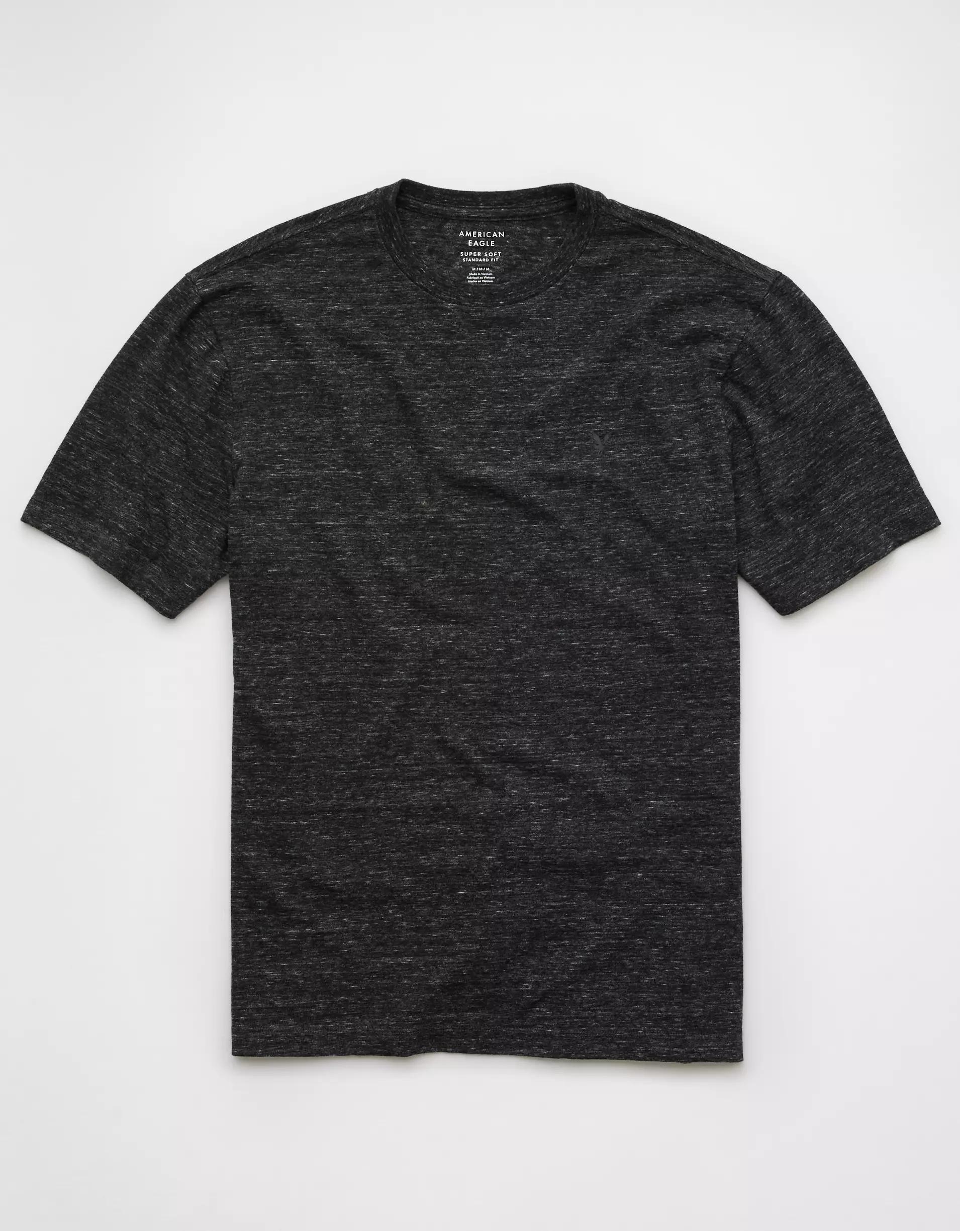 AE Logo Lived-In T-Shirt Product Image