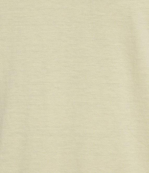 Roundtree & Yorke Solid Cloud Short Sleeve Crew Neck T-Shirt Product Image