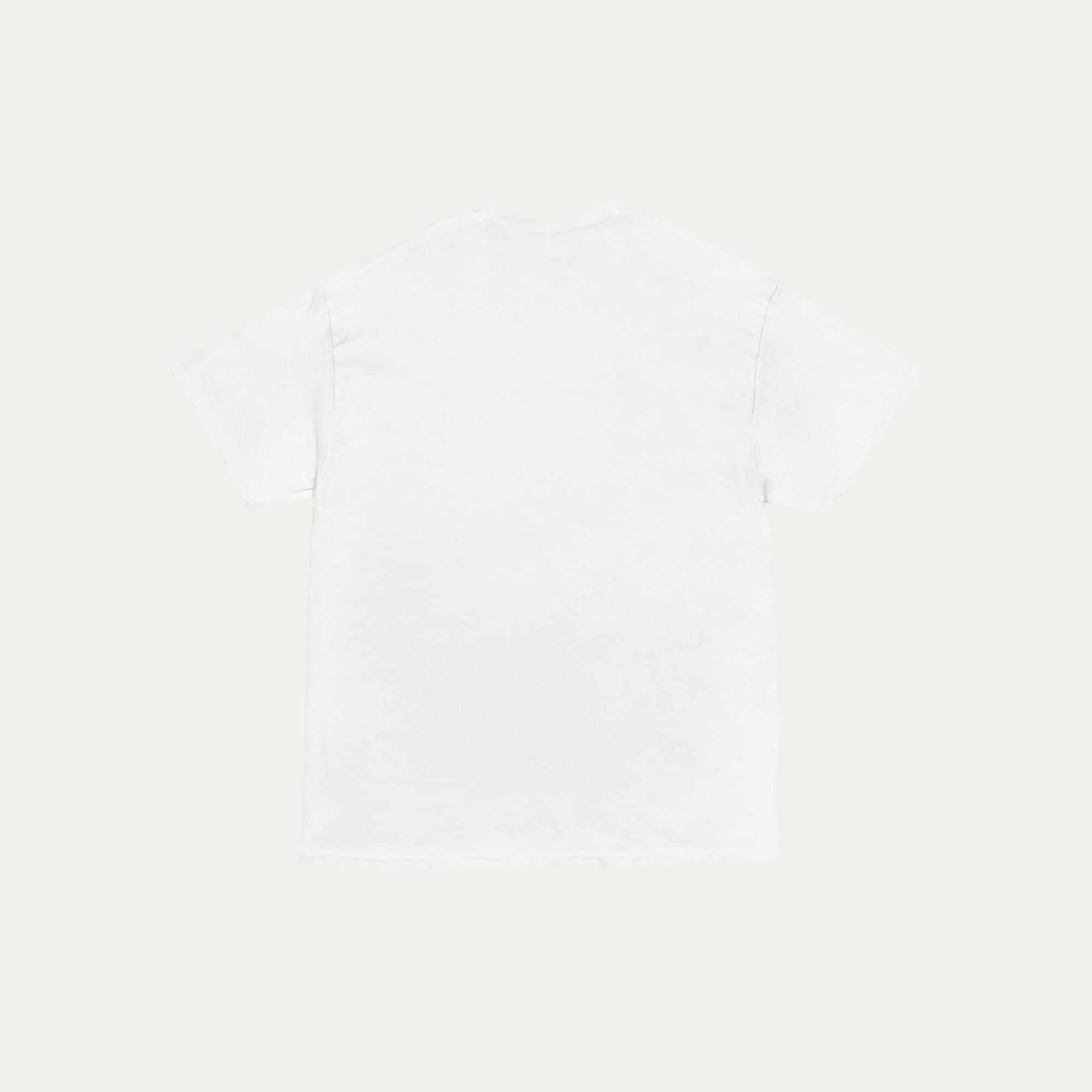 Aspen Graphic Tee Male Product Image