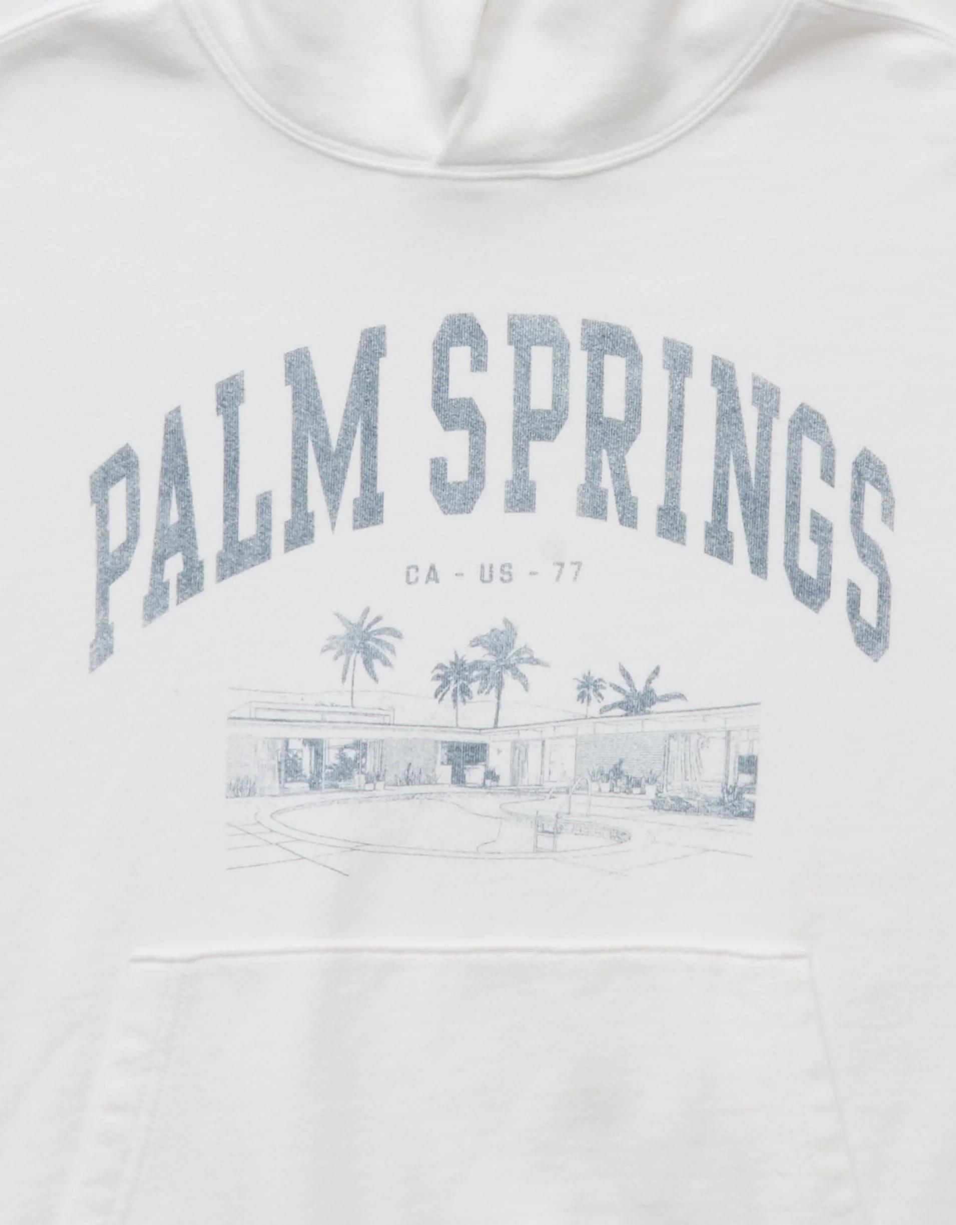 AE Destination Graphic Hoodie Product Image