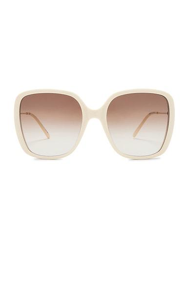 Square Sunglasses Product Image