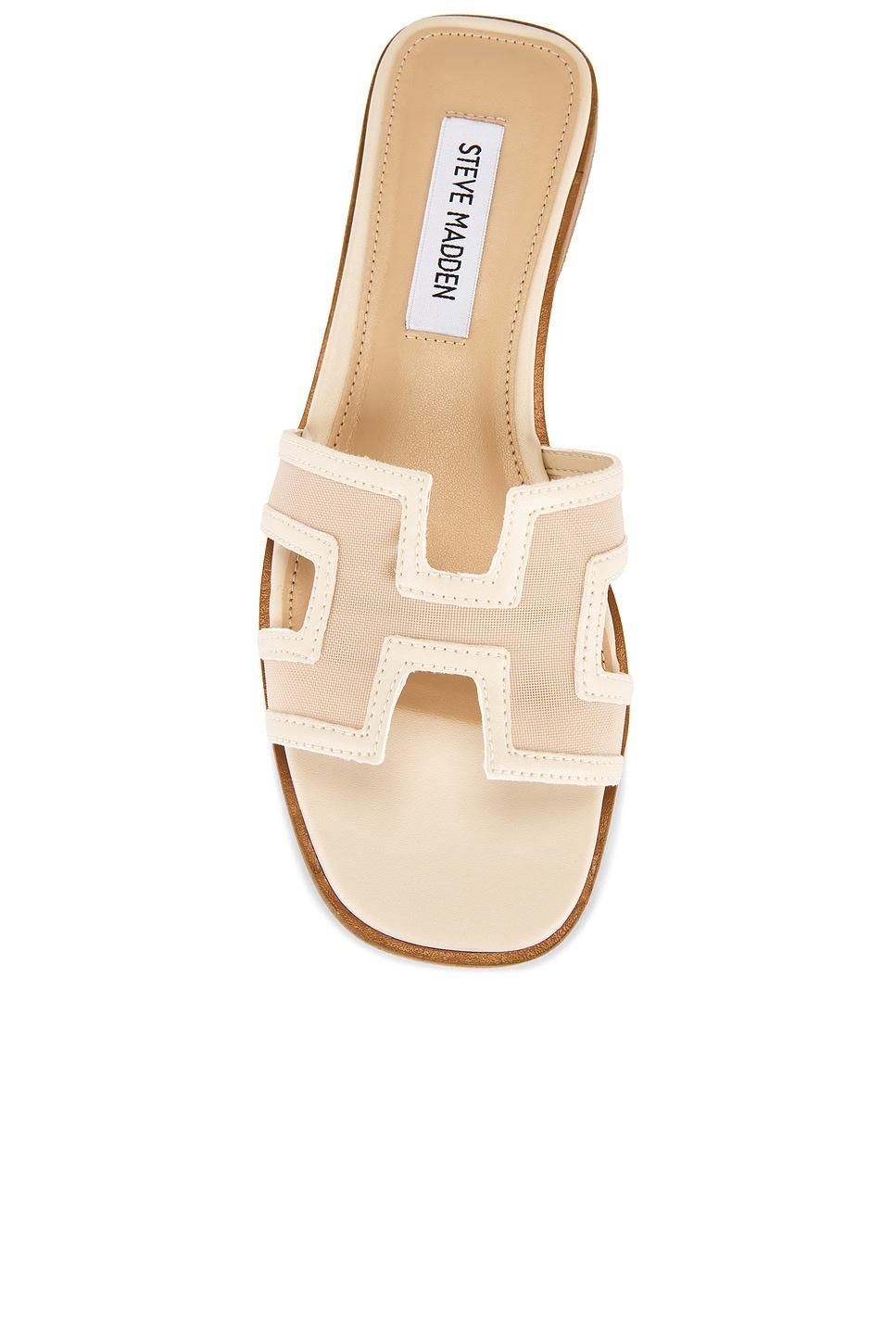 Hadyn Mesh Sandal Steve Madden Product Image