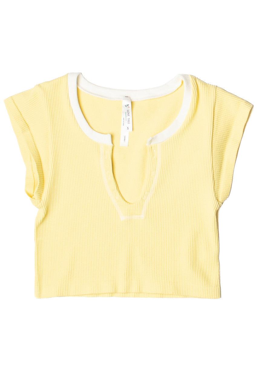 Sporty Notch Neck Seamless Crop Top Product Image