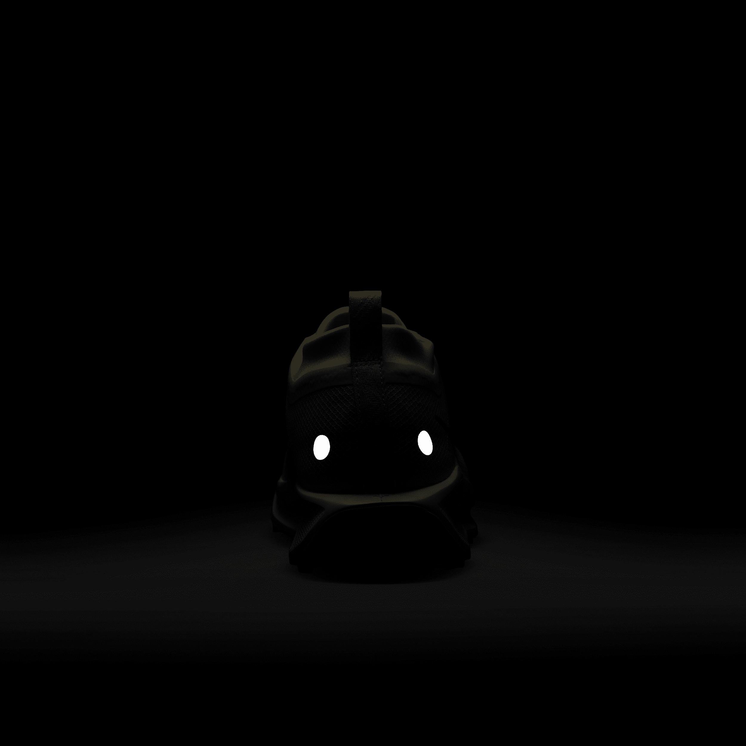 Nike Mens Pegasus Trail 5 GORE-TEX Waterproof Trail Running Shoes | FQ0908-700 Product Image