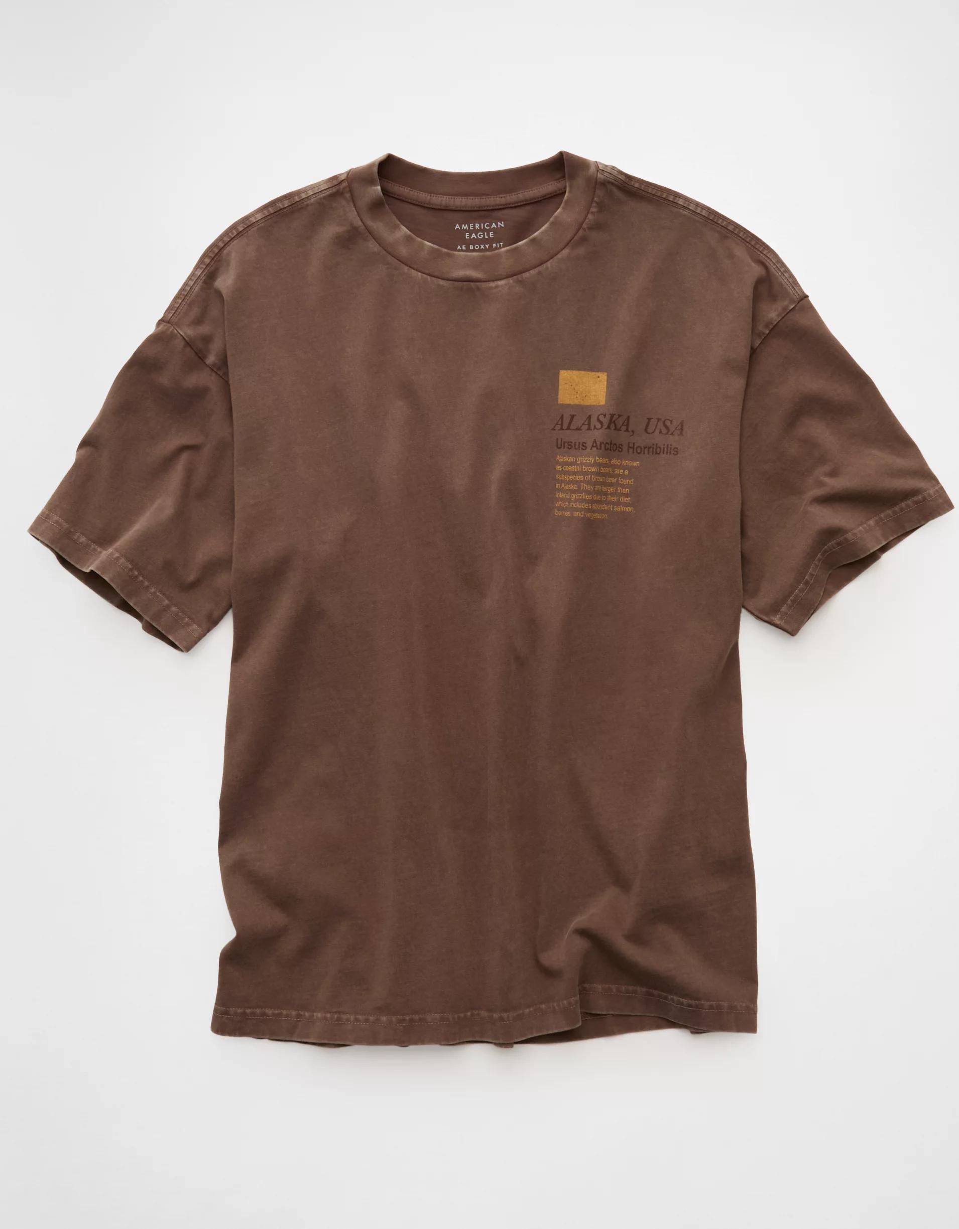 AE Boxy Destination Graphic T-Shirt Product Image