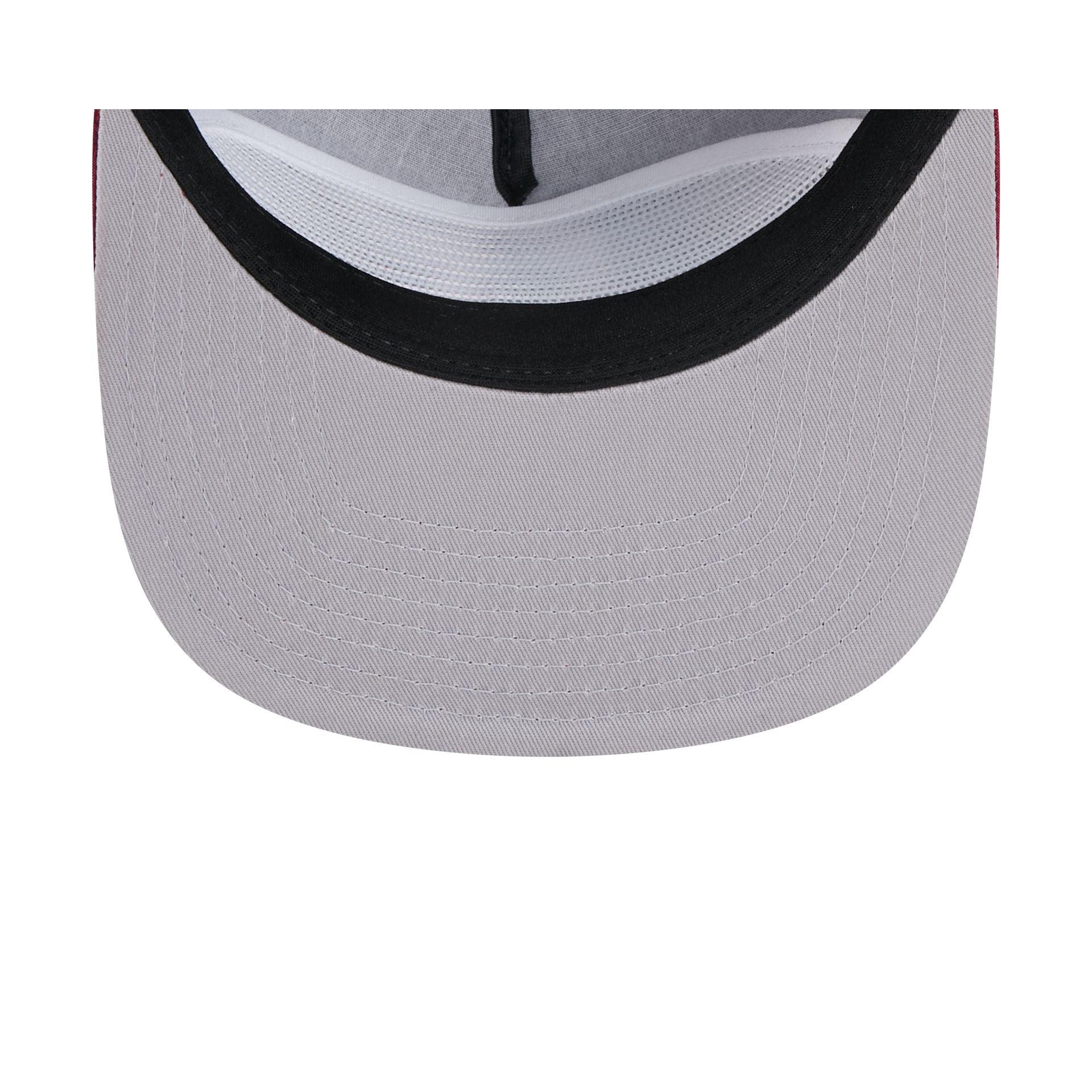 Houston Astros Craig Biggio 9FIFTY A-Frame Snapback Hat Male Product Image