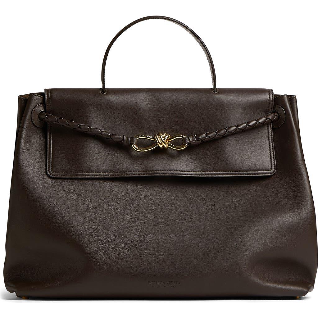 BOTTEGA VENETA Andiamo Large Leather Top-handle Bag In Fondant-m Brass Product Image
