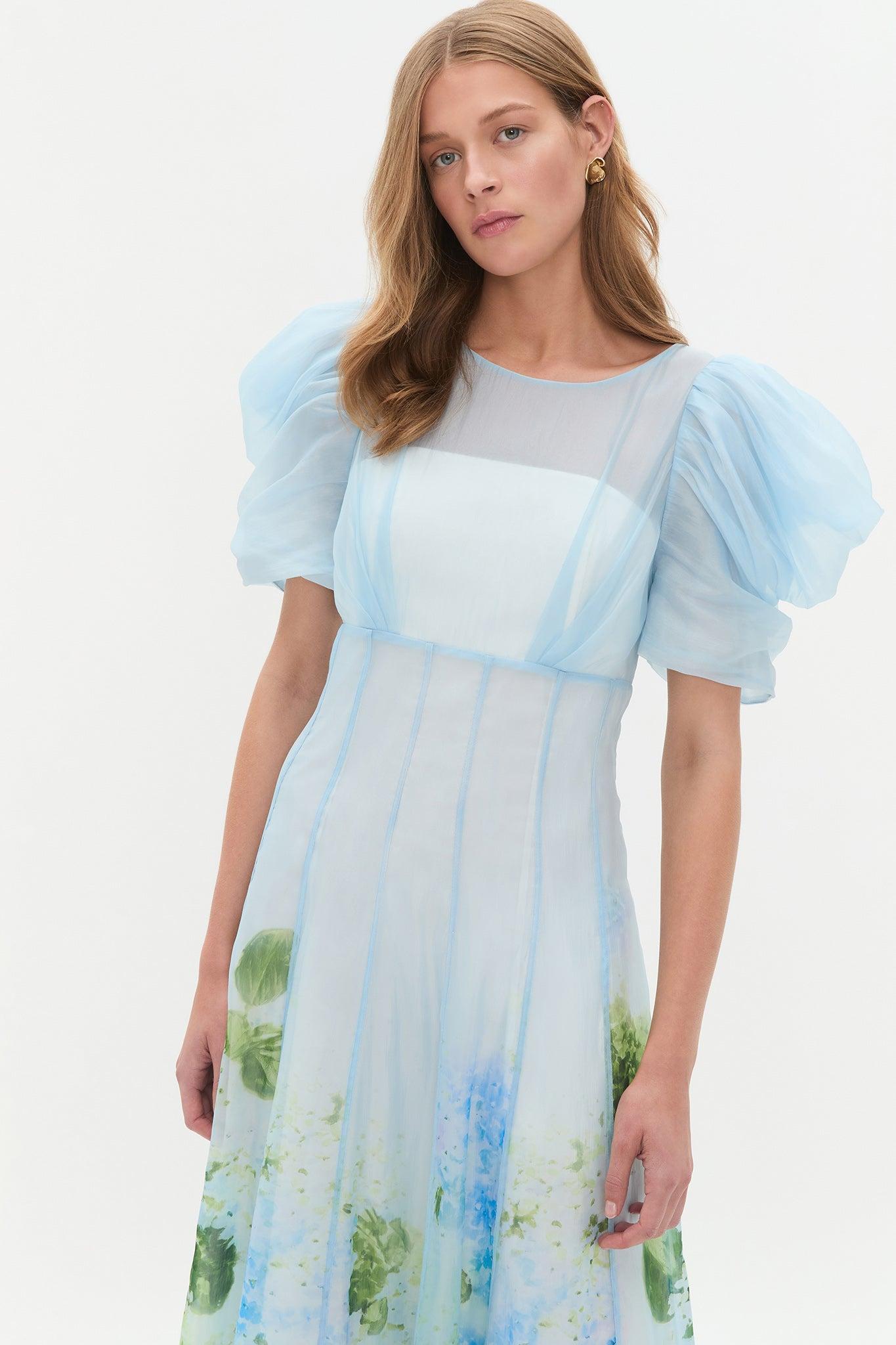 Clementine Midi Dress Product Image