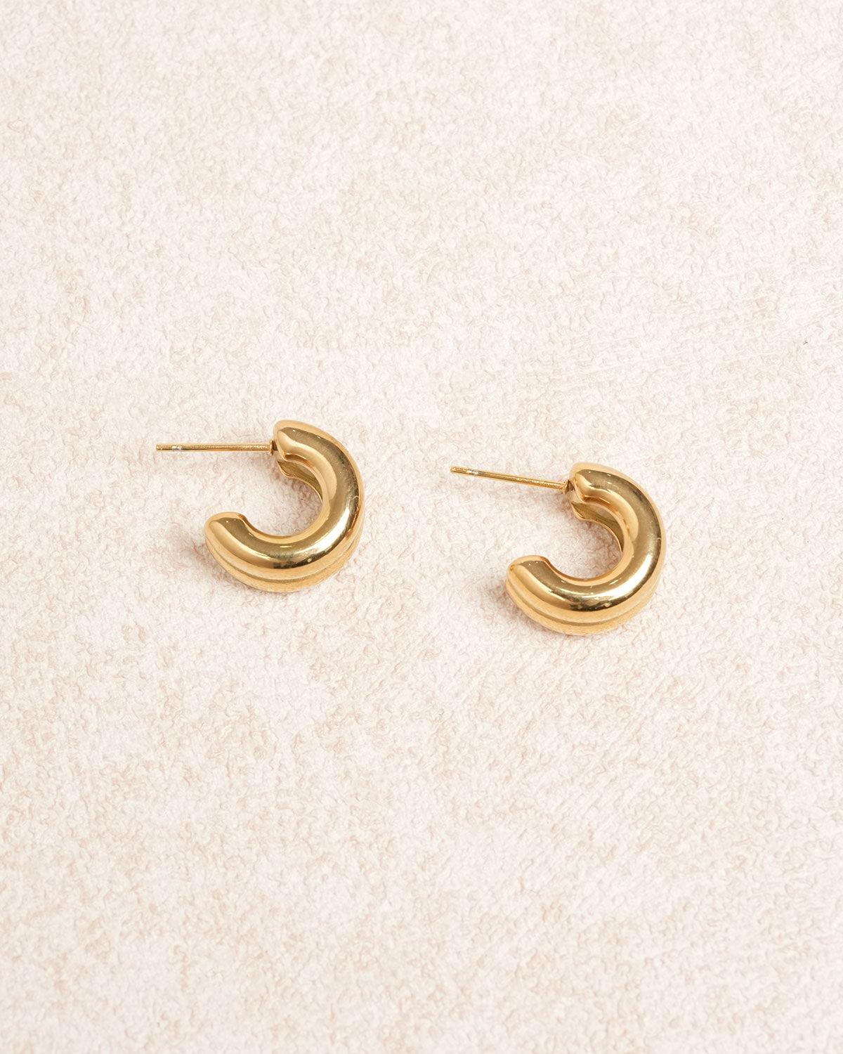Gold Metal Earrings Product Image