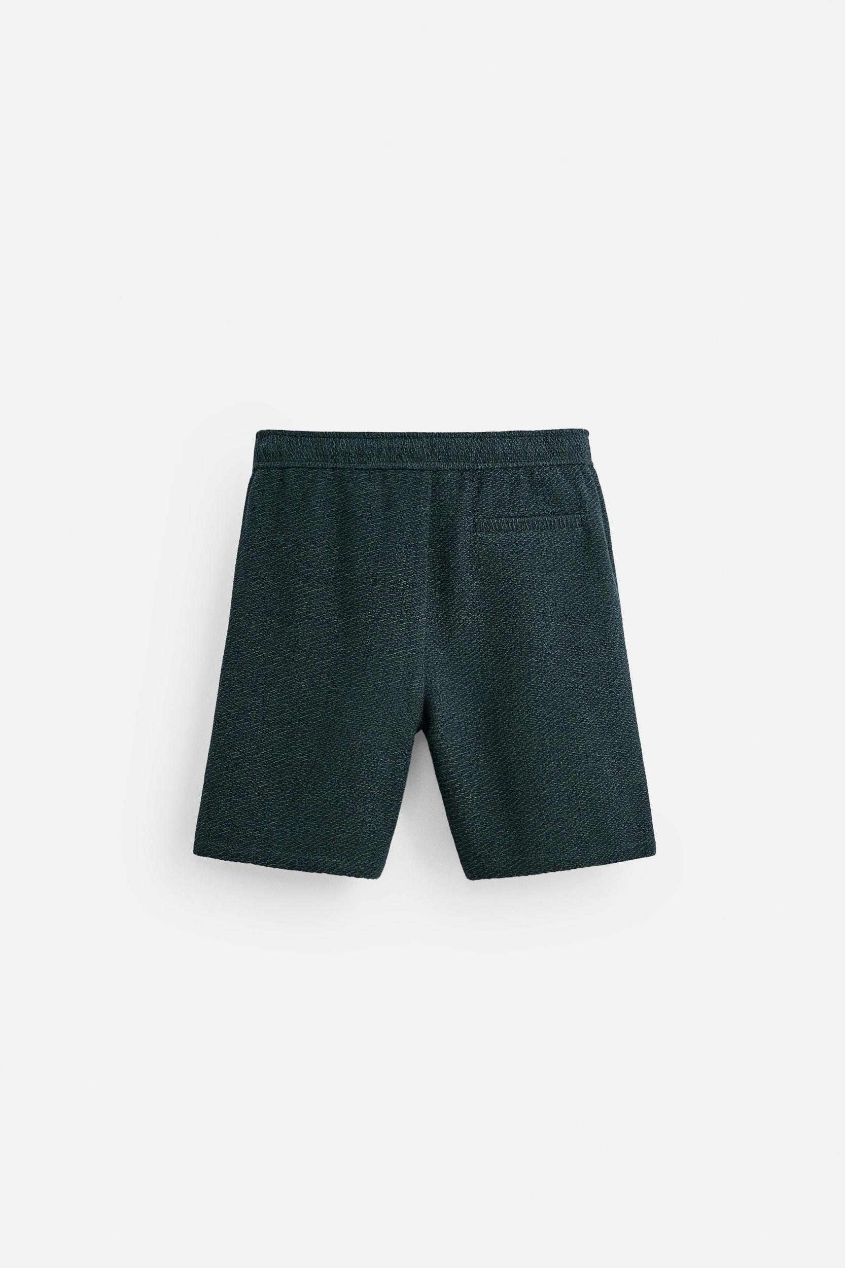 TEXTURED REGULAR FIT SHORTS Product Image