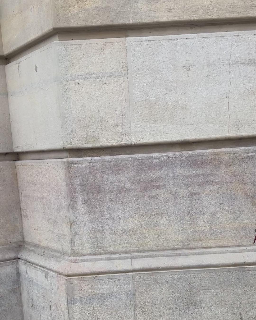 Riley Pull On Short In Linen Product Image