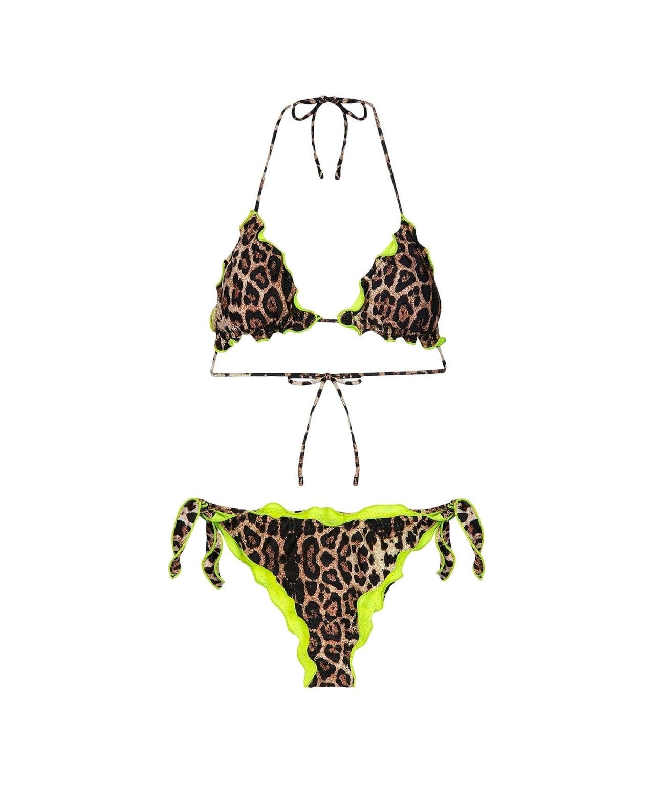 Bikini with animal print Product Image