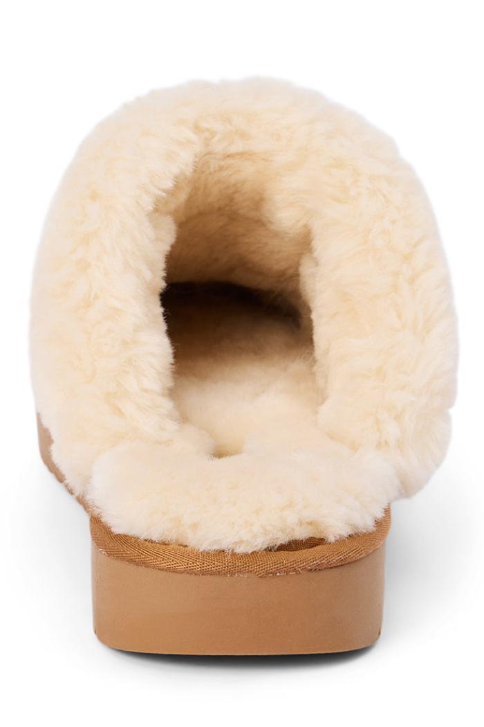 Taos Lounge Mule Product Image