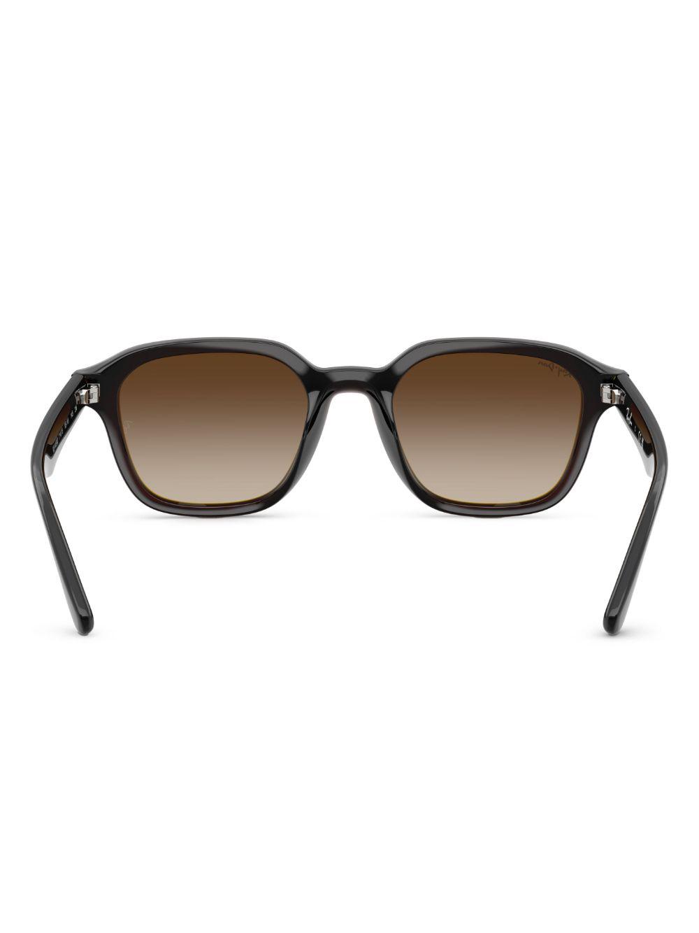 RB4458D sunglasses  Product Image