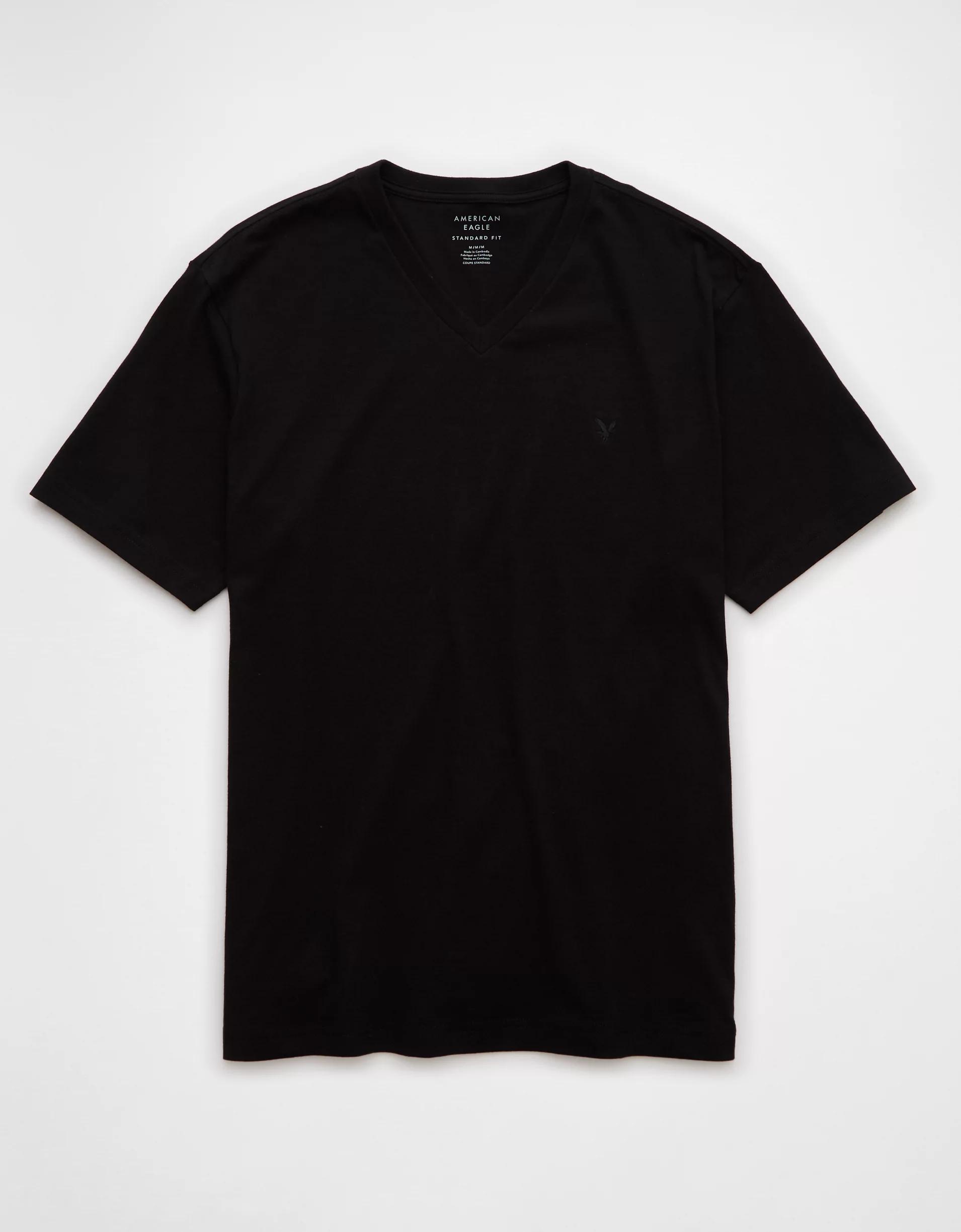 AE Lived-In V-Neck T-Shirt Product Image