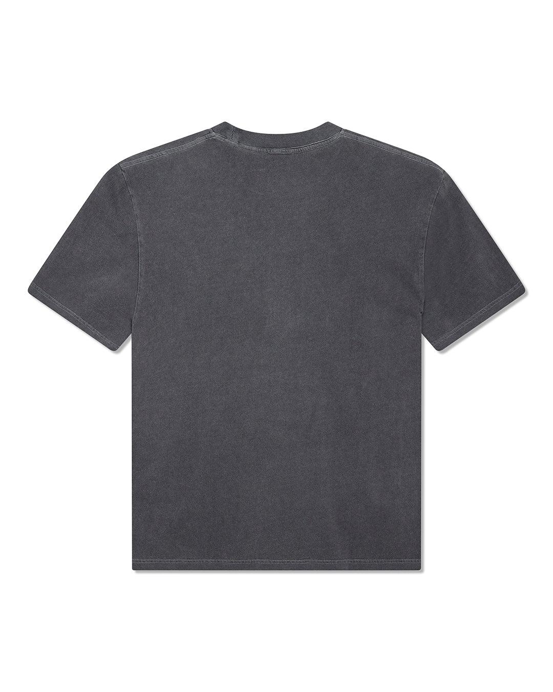 Four Seasons Tee - Anthracite Product Image