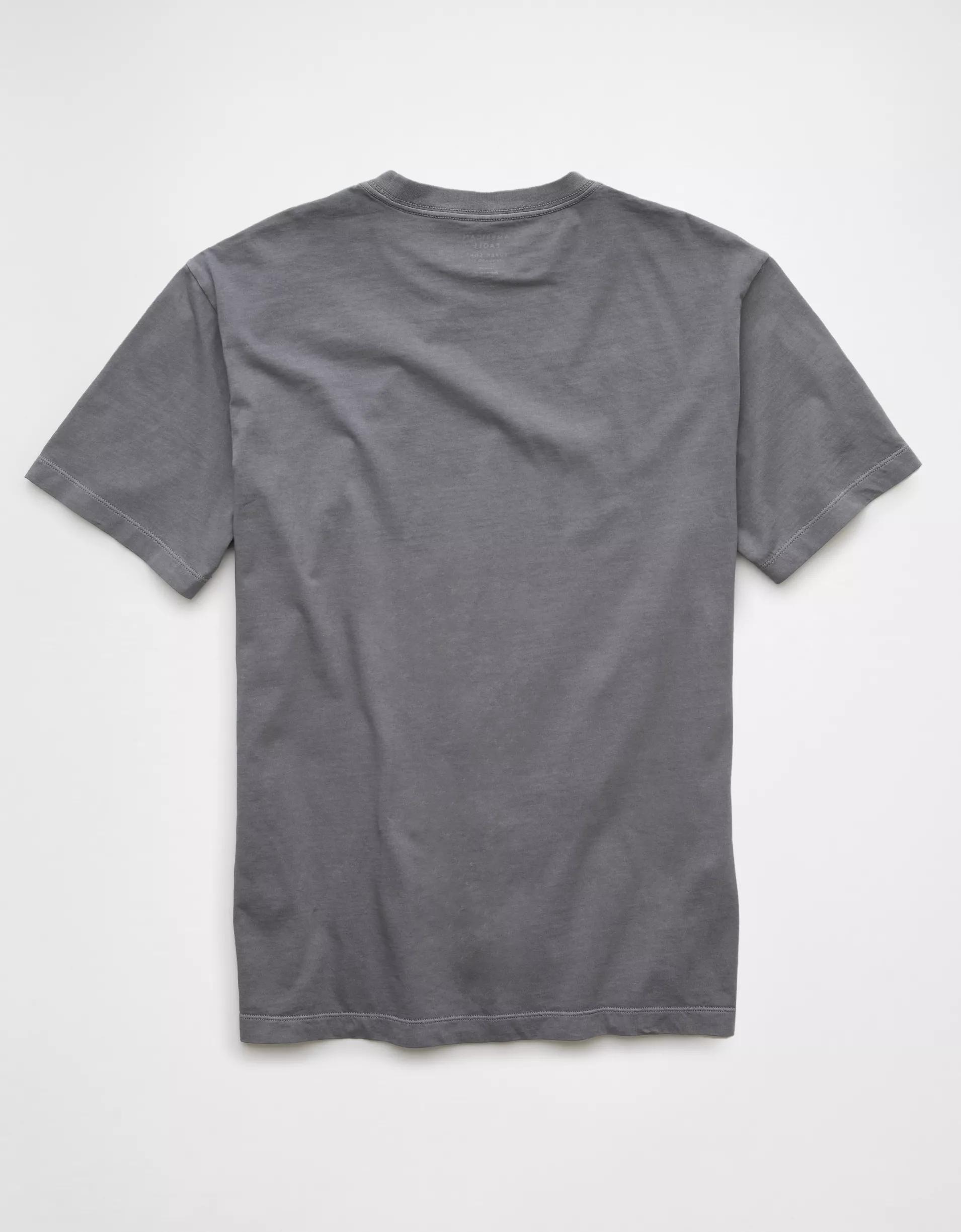 AE Logo Lived-In T-Shirt Men's Product Image
