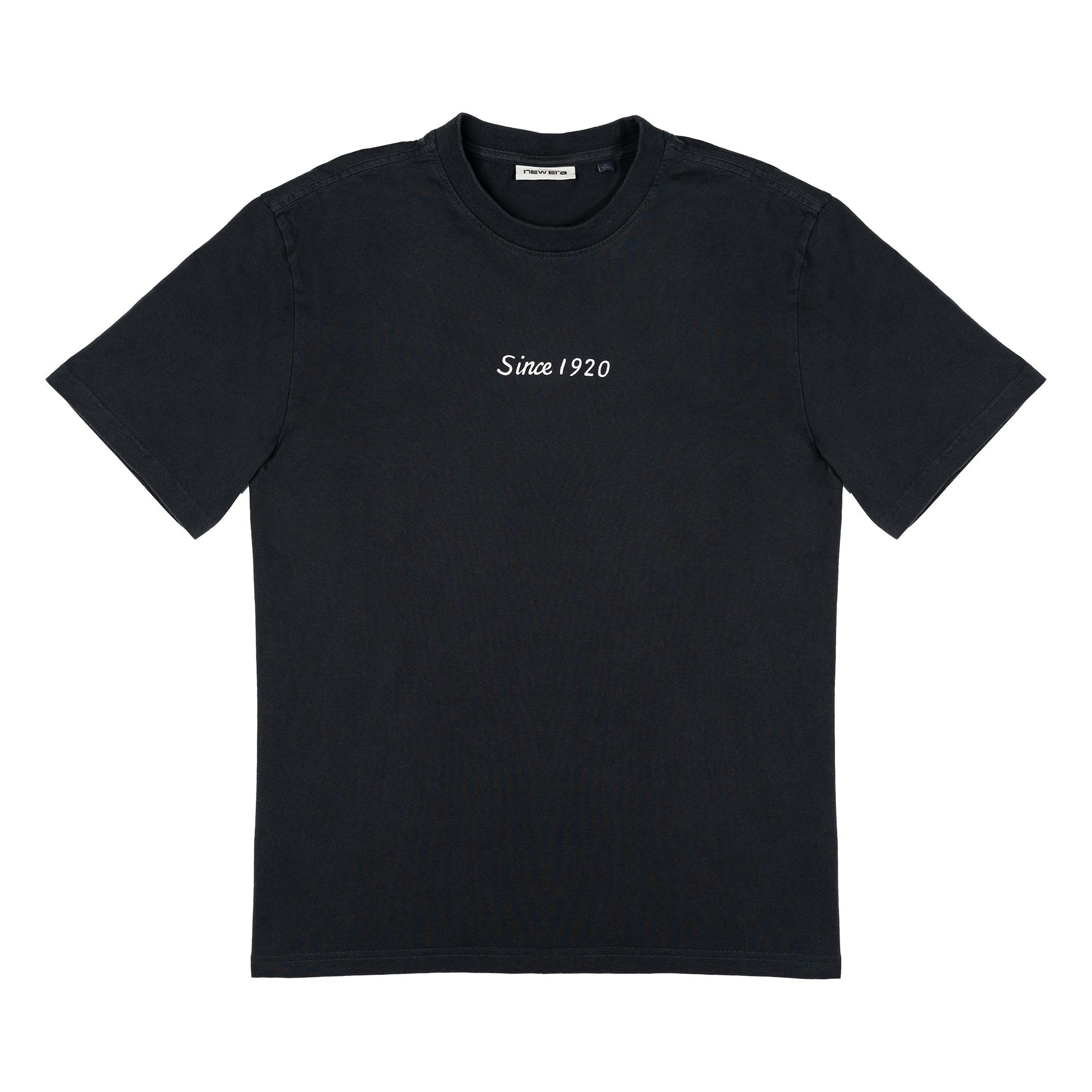 Men's Lightweight Wool T-Shirt Product Image