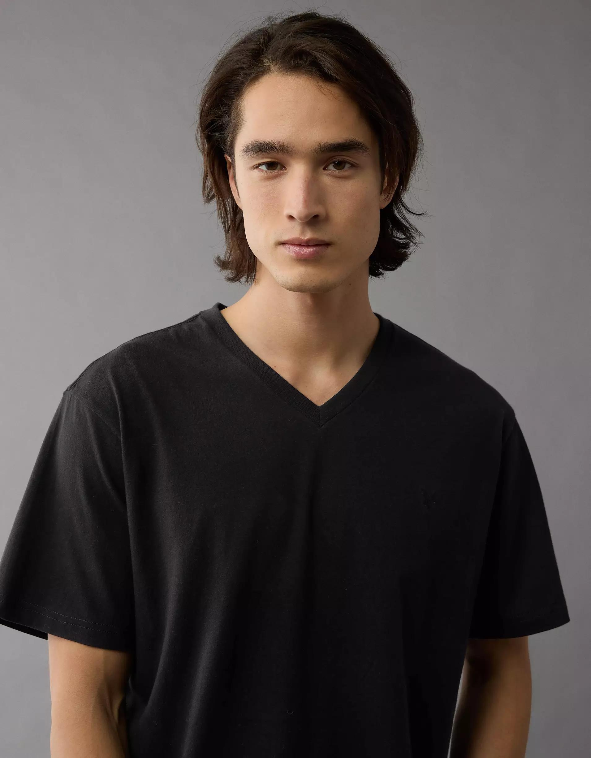 AE Lived-In V-Neck T-Shirt Product Image