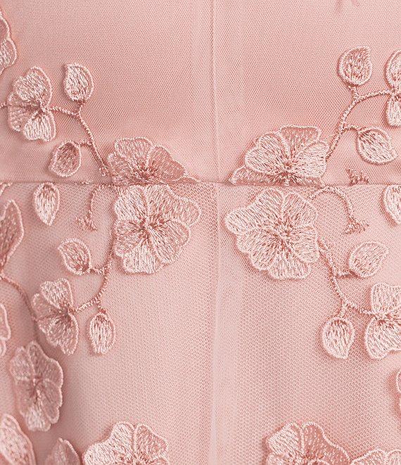 Alex Marie Sienna Embroidered Mesh Floral Applique Sleeveless Dress Product Image