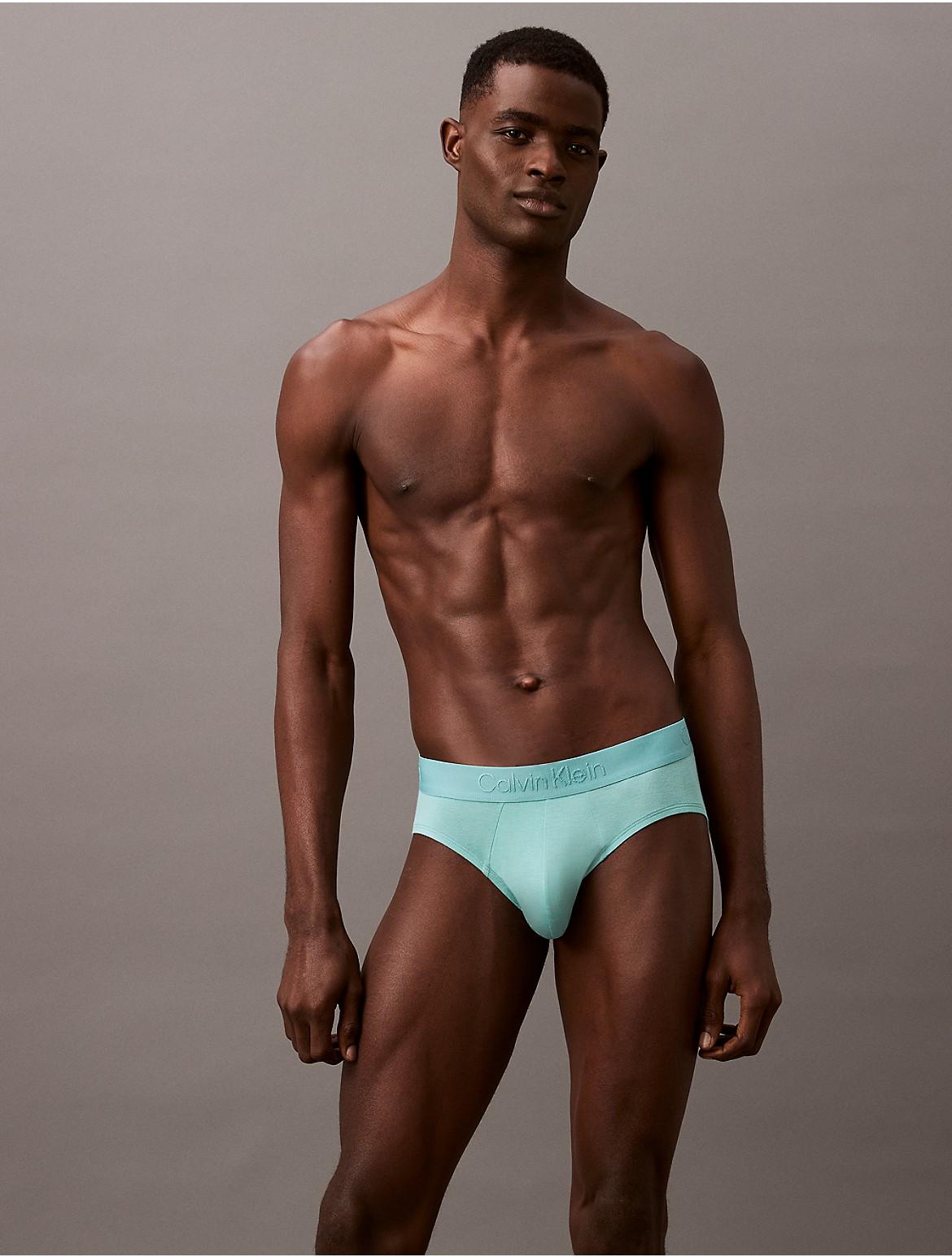 Calvin Klein Mens Ultra Soft Modal Hip Brief - Grey Product Image