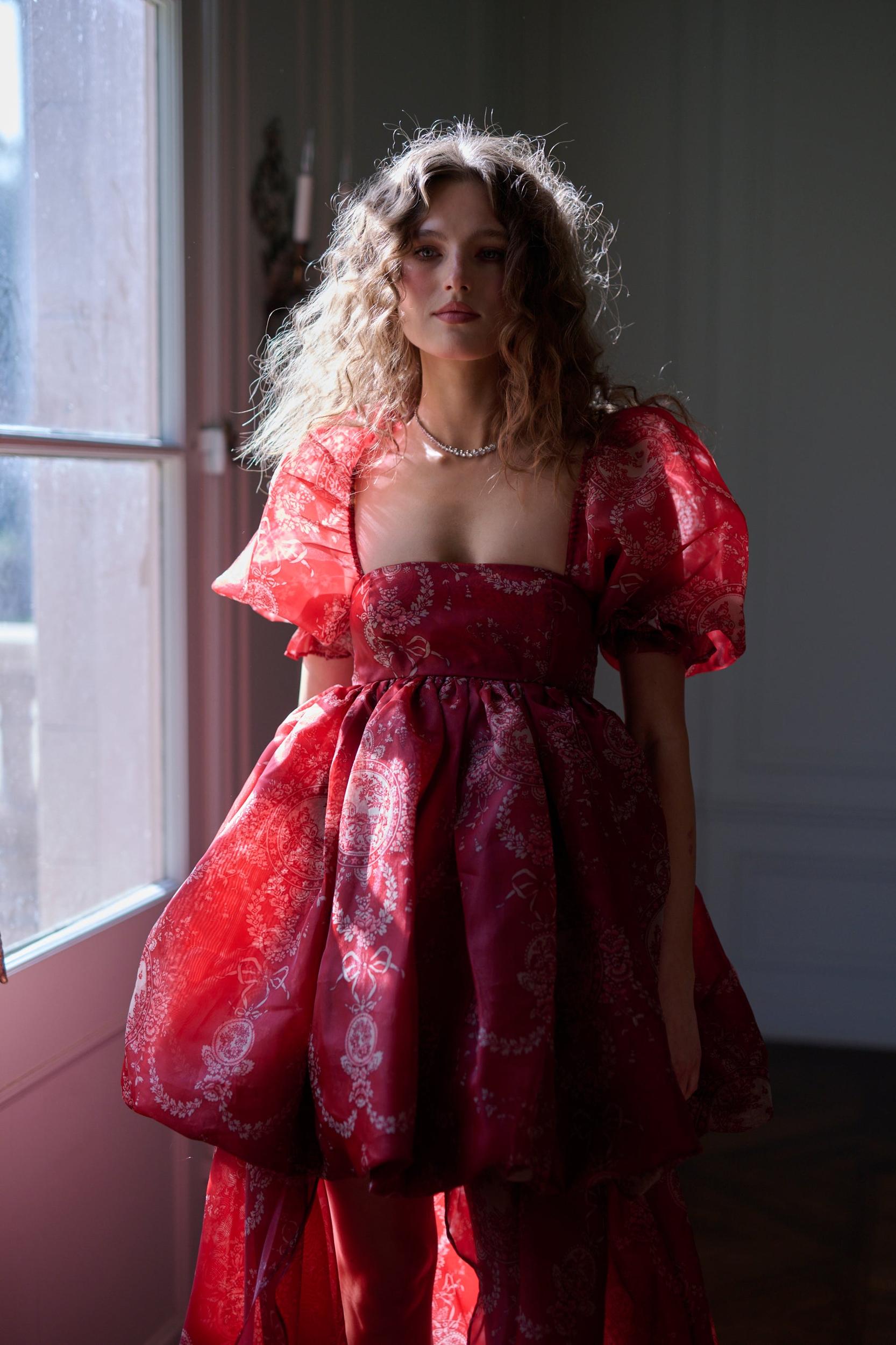 The Ornament Fairytale Gown Product Image