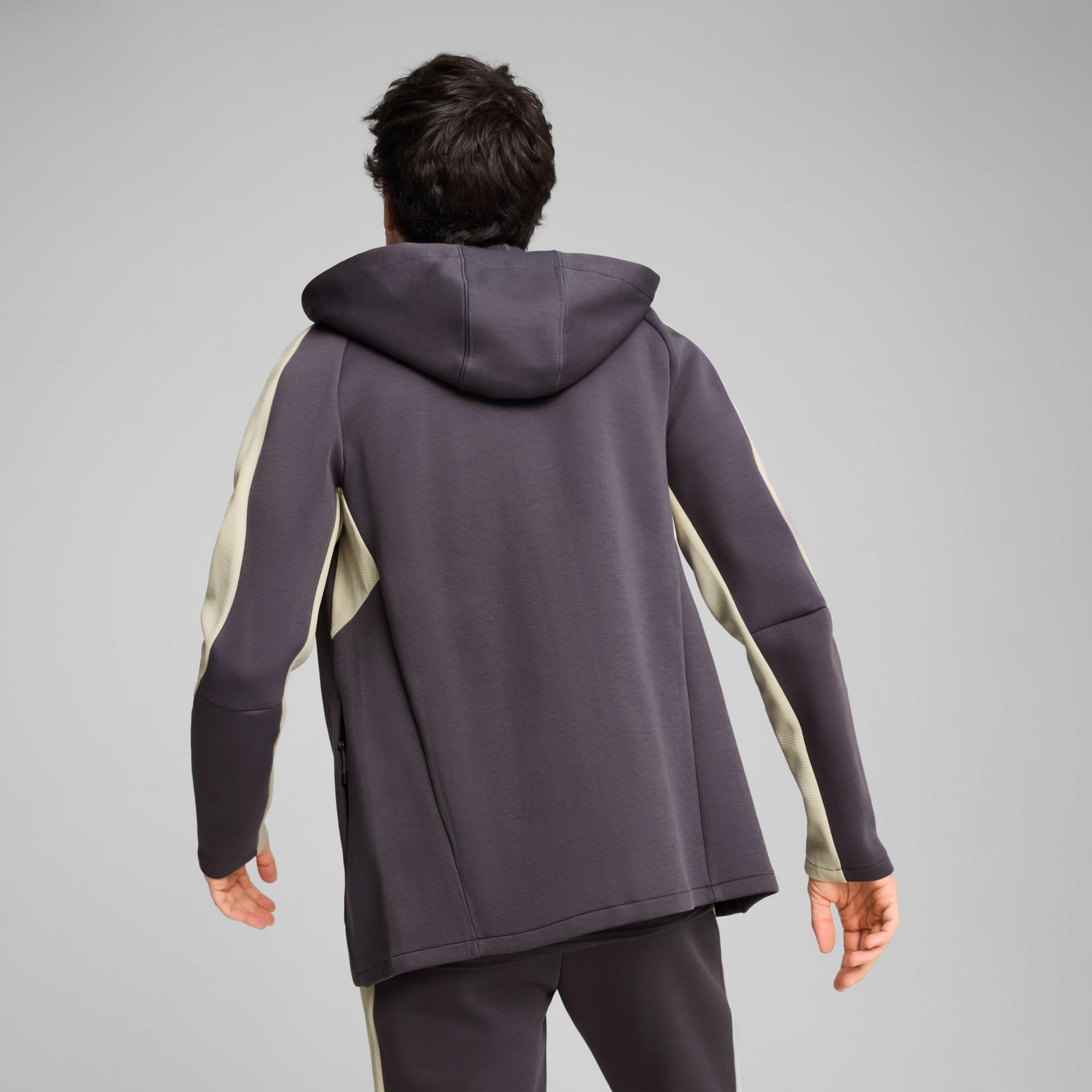 EVOSTRIPE Full-Zip Men's Hoodie Product Image