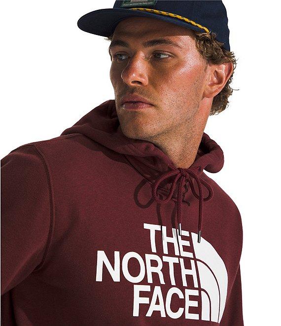 The North Face Half Dome Pullover Graphic Hoodie Product Image