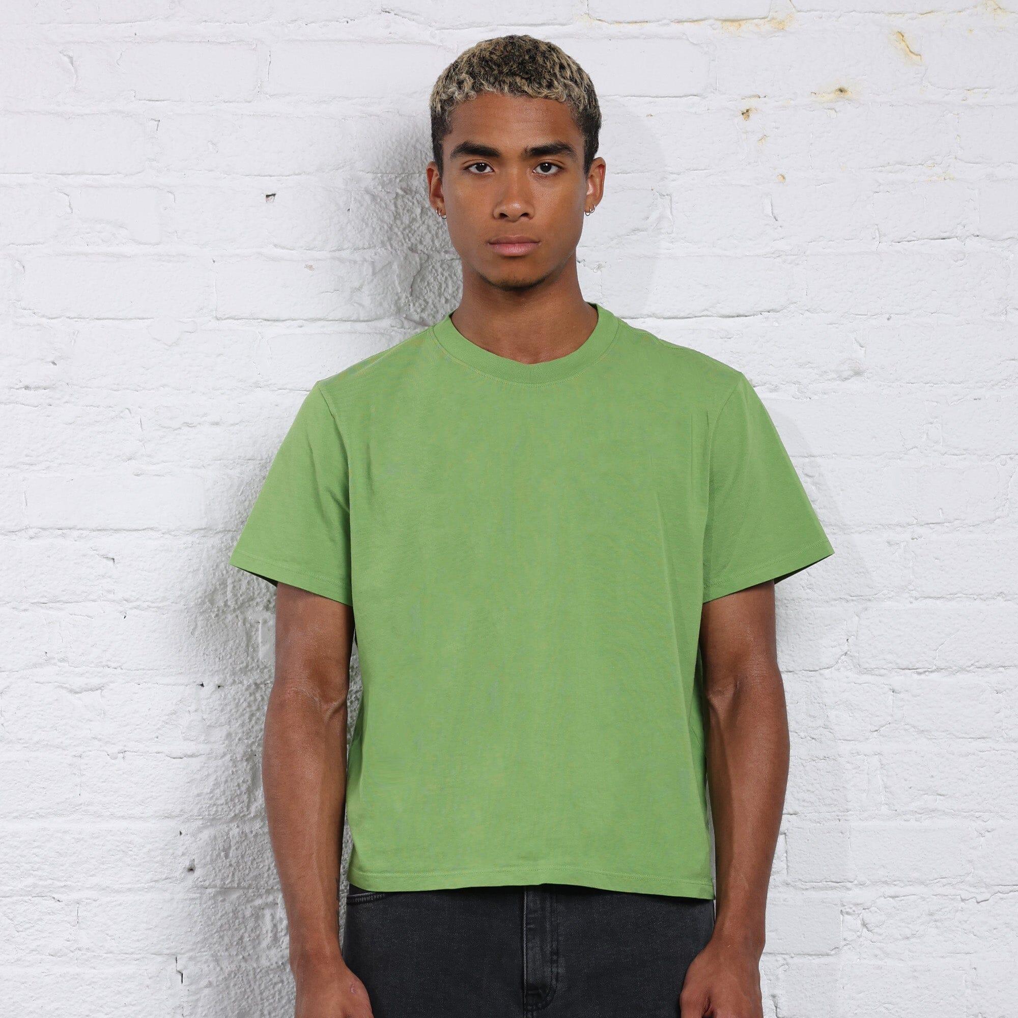 Silverlake Crop Tee II Product Image